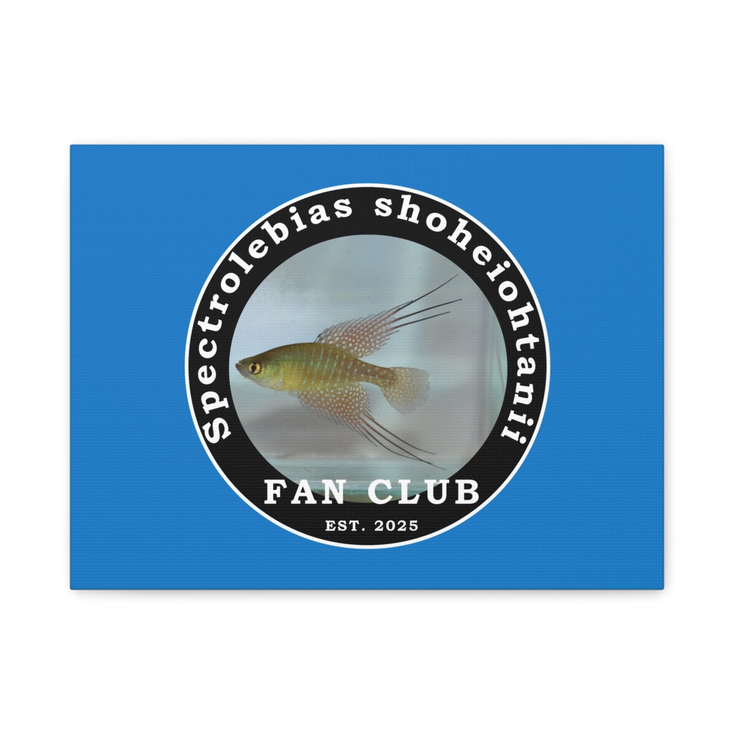 WALL ART - Shohei Ohtani Fish Fan Club Design Canvas Print - Fan Club Design Stretched Matte Wall Art
