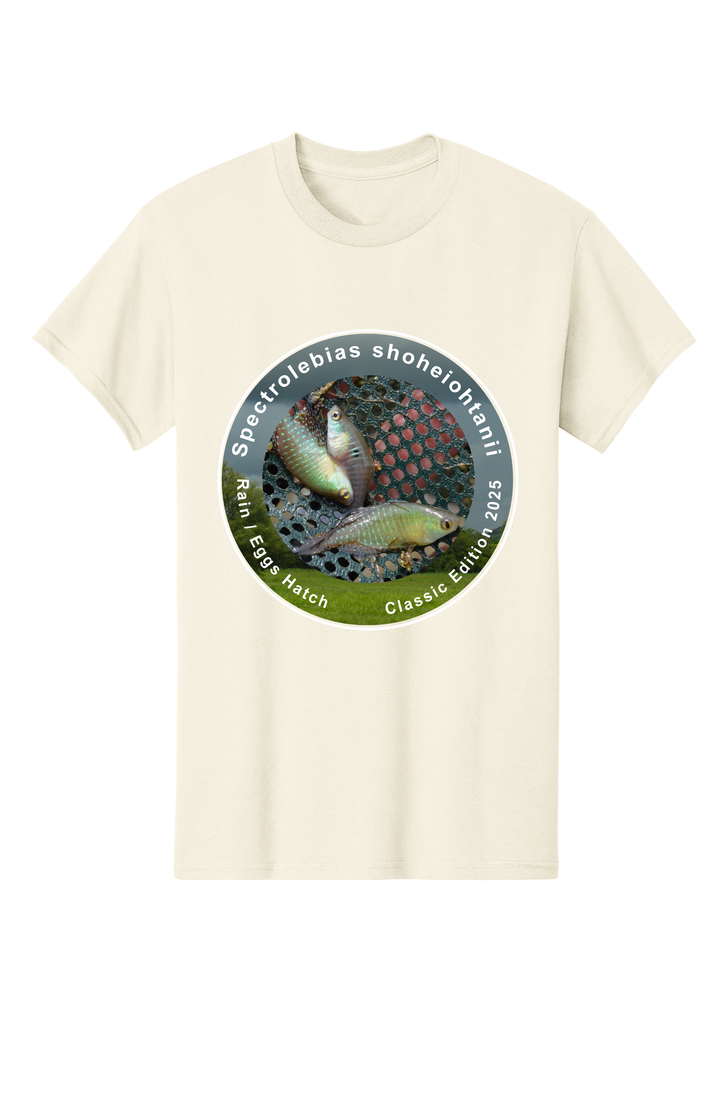 クラシック＃1 - 大人