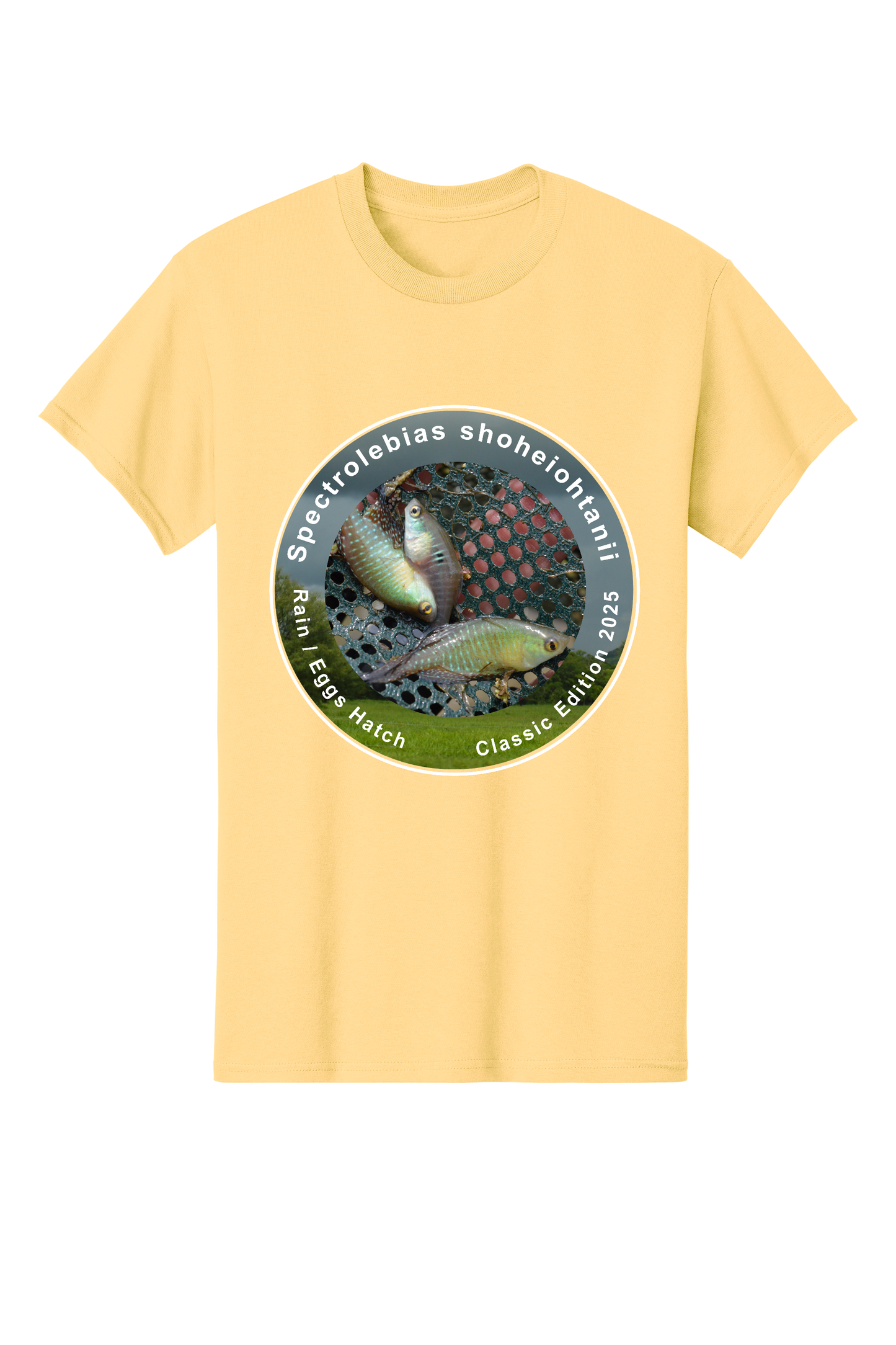 クラシック＃1 - 大人