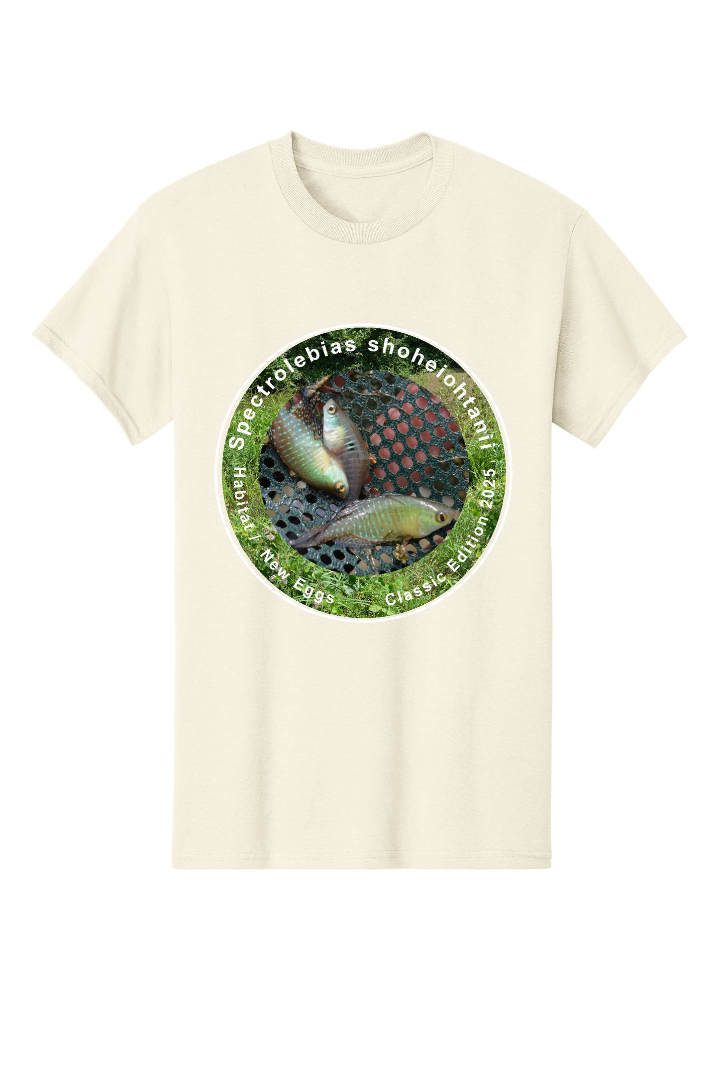 クラシック＃2 - 大人