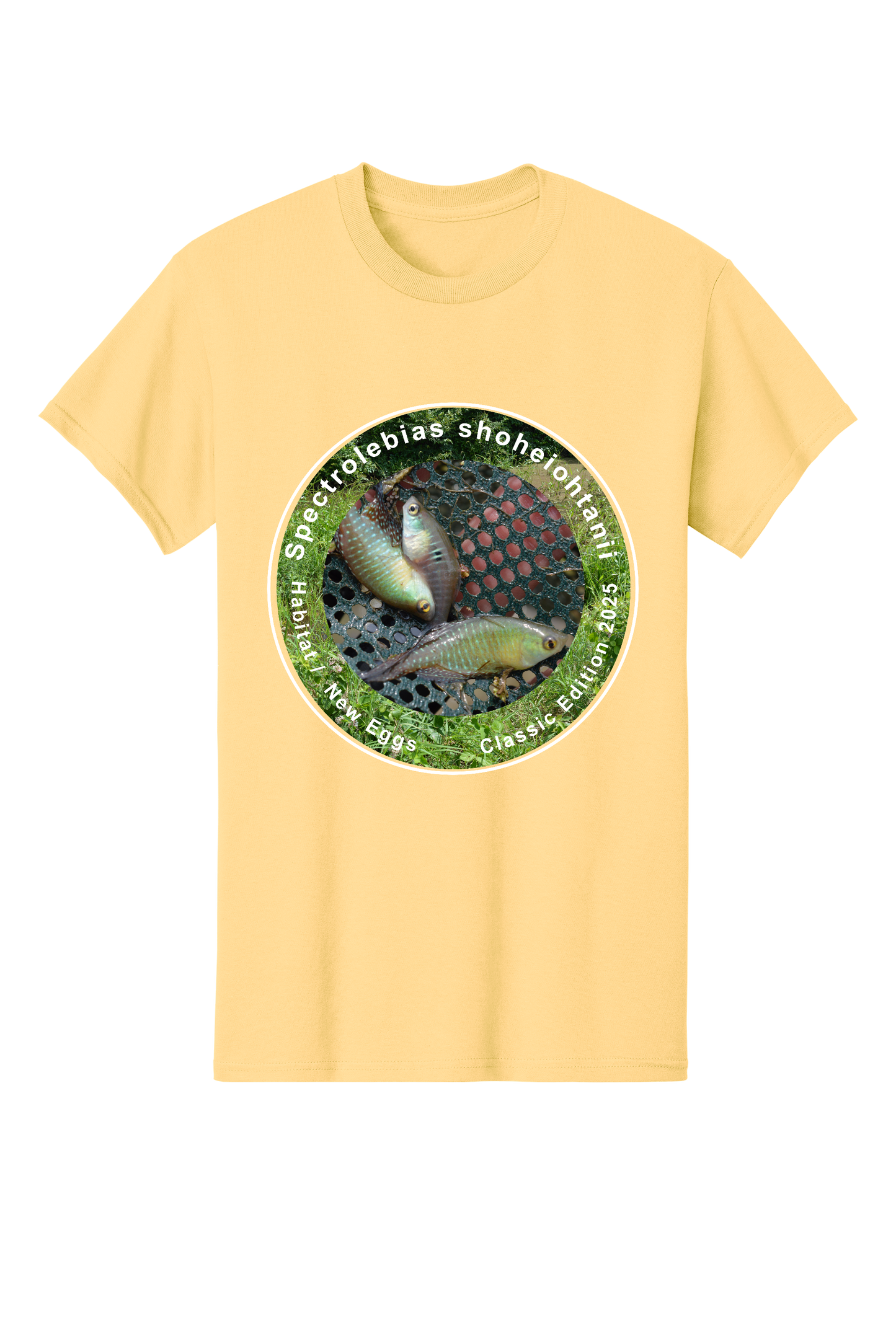 クラシック＃2 - 大人