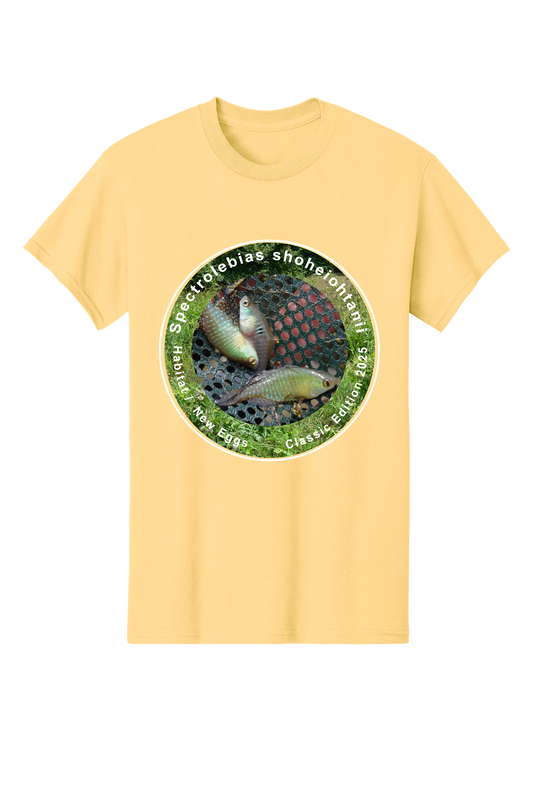 クラシック＃2 - 大人