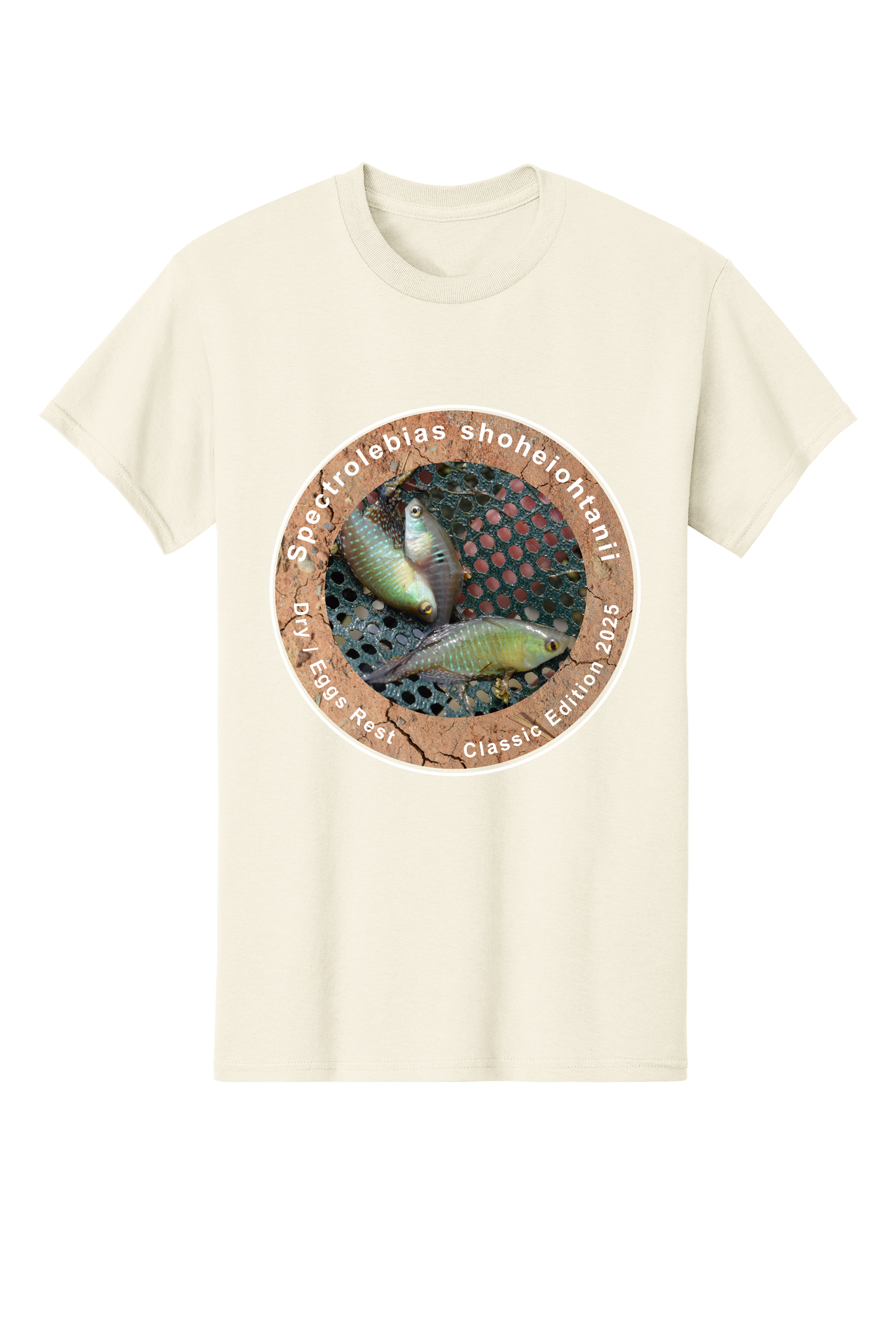 クラシック＃3 - 大人