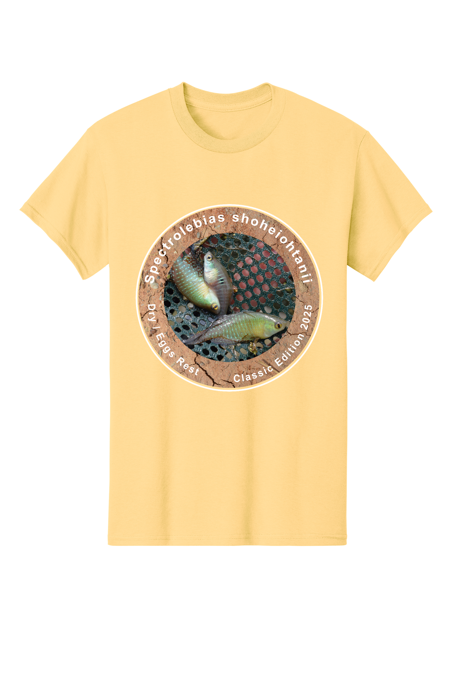 クラシック＃3 - 大人