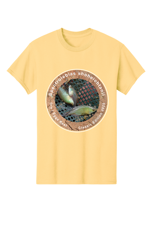 クラシック＃3 - 大人