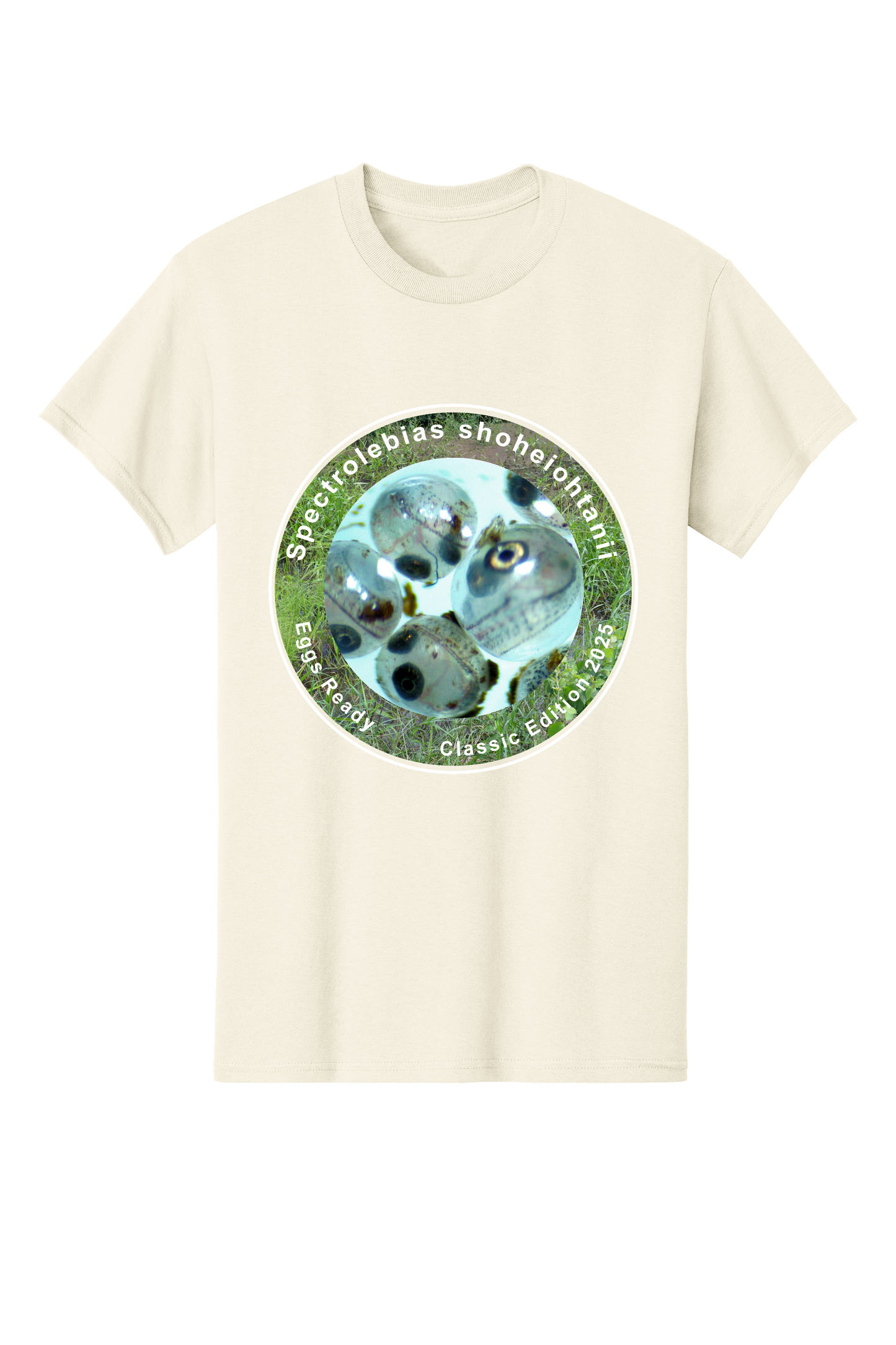 クラシック＃4 - 大人