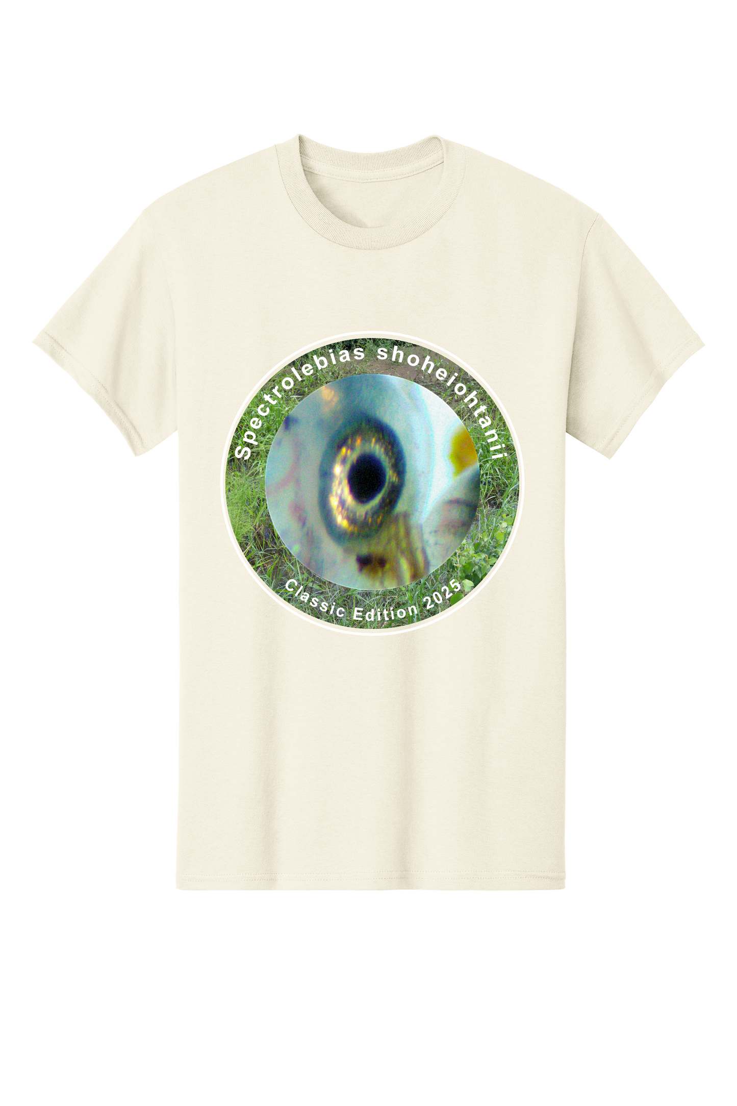 クラシック＃5 - 大人