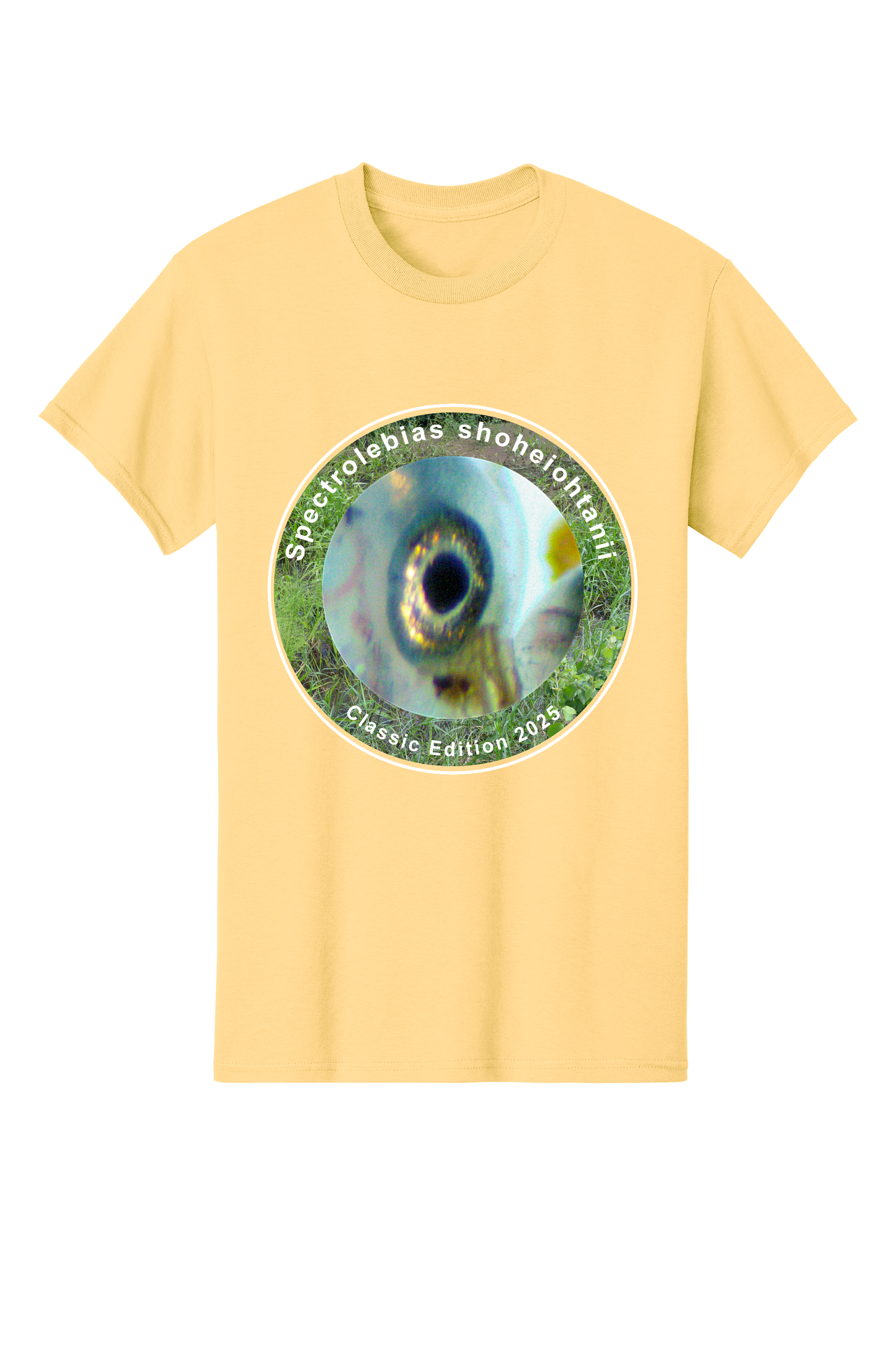 クラシック＃5 - 大人