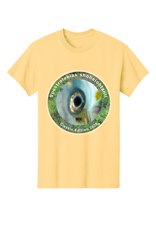 クラシック＃5 - 大人