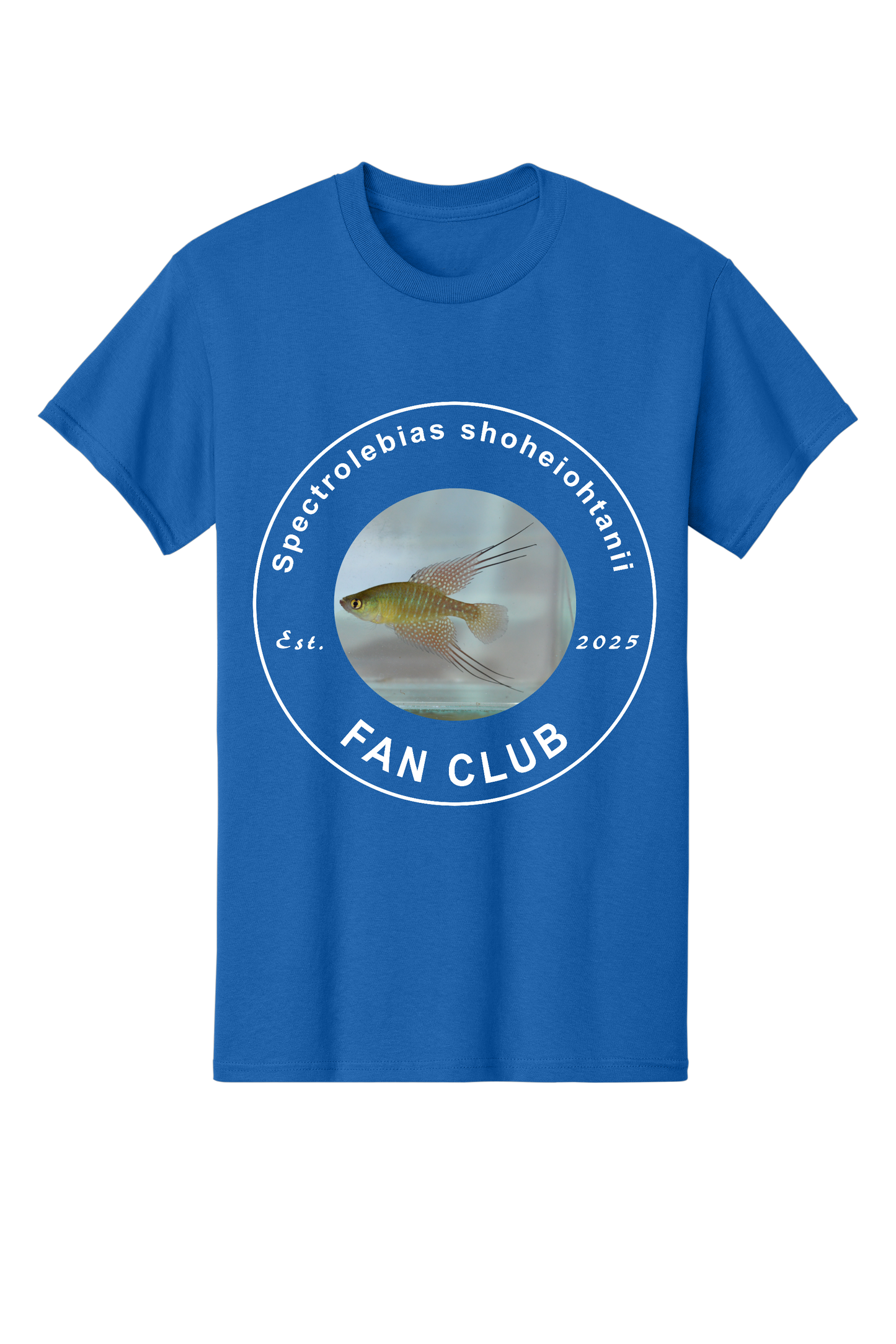 ファンクラブ #1 - 大人