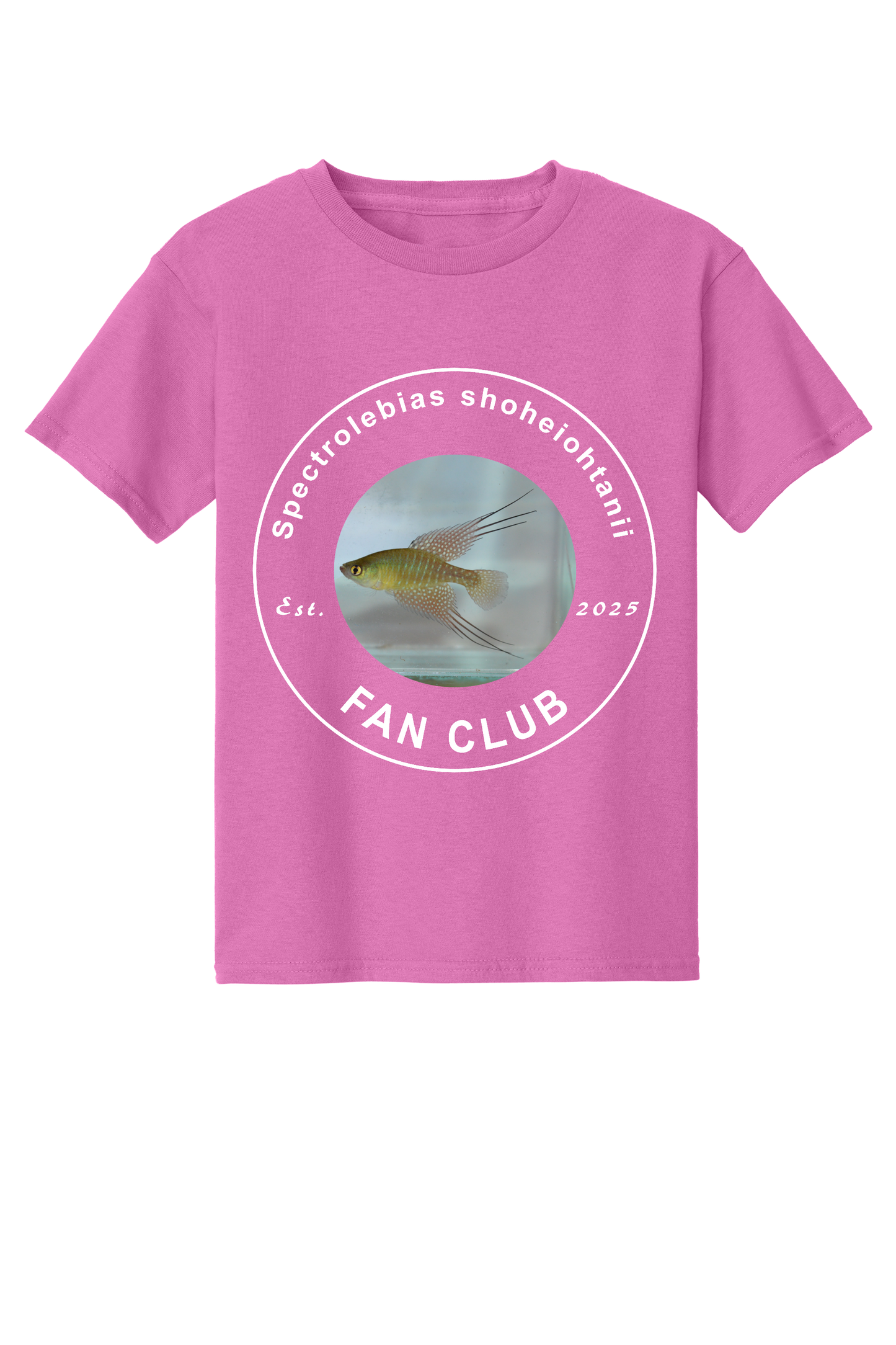 ファンクラブ #1 - 子供