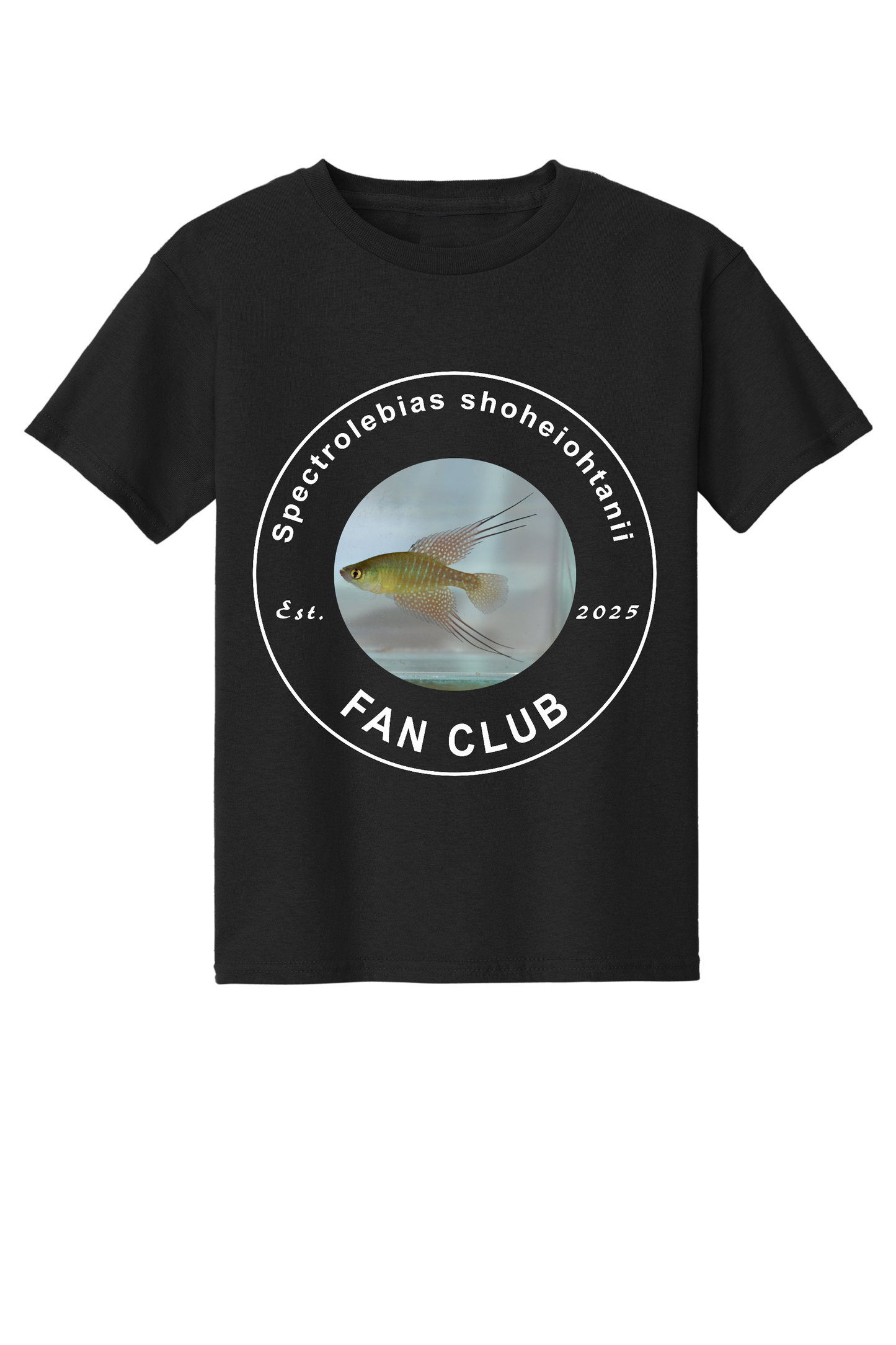 ファンクラブ #1 - 子供