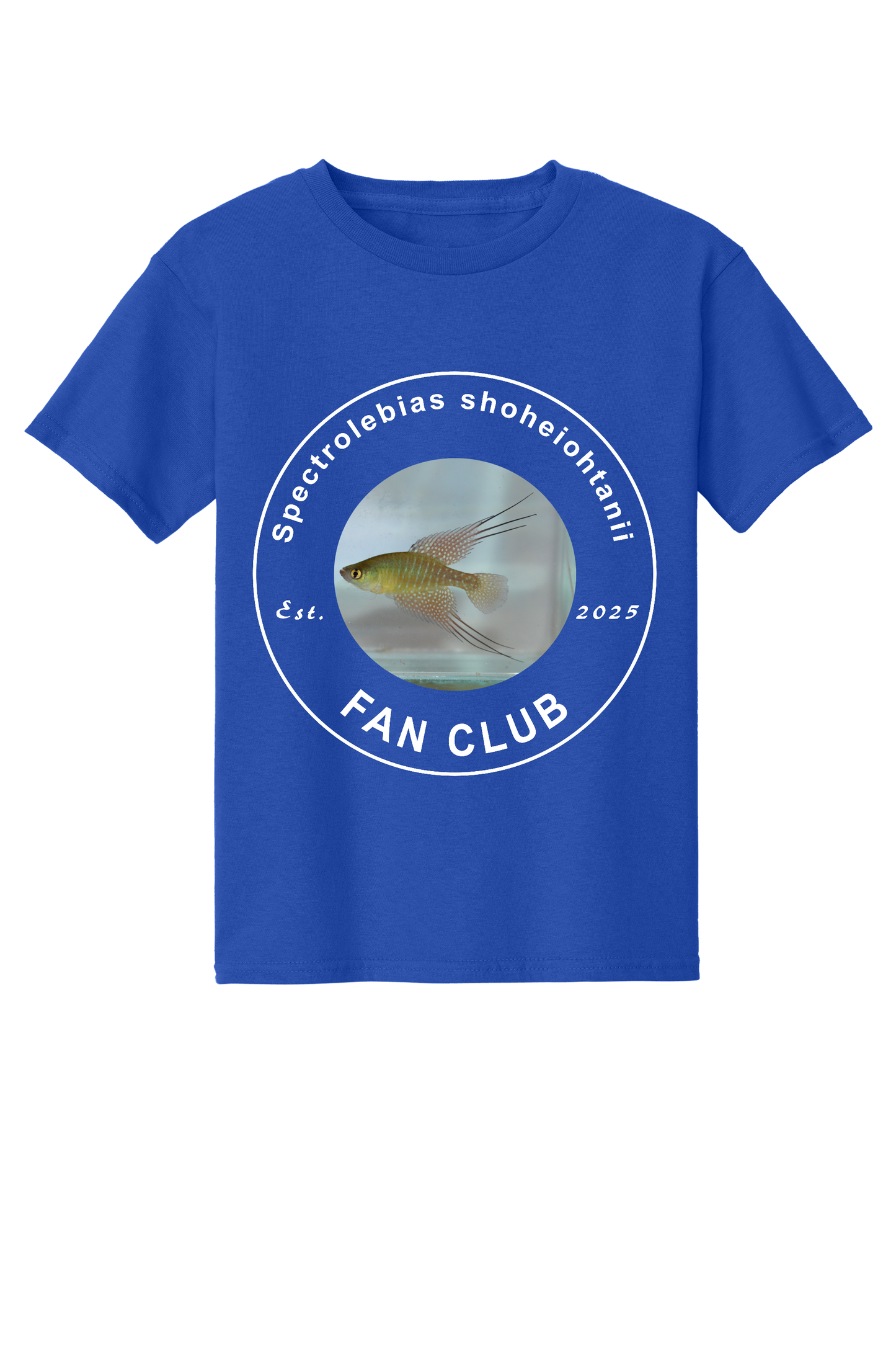 ファンクラブ #1 - 子供