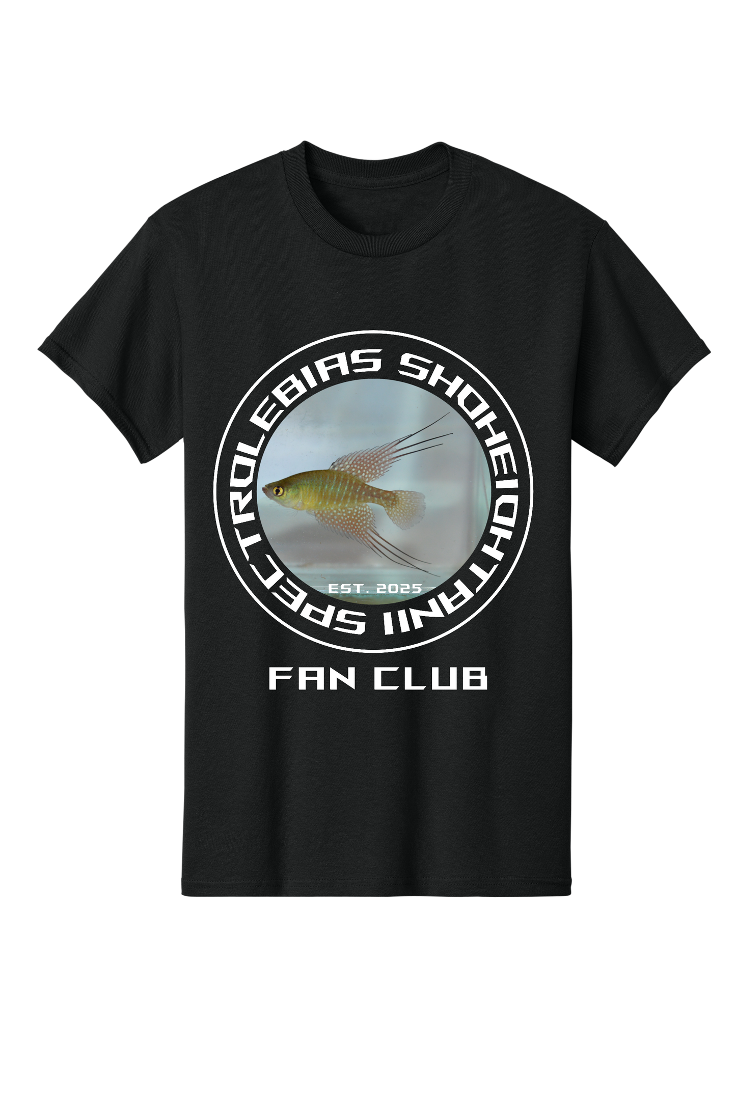 ファンクラブ #2 - 大人