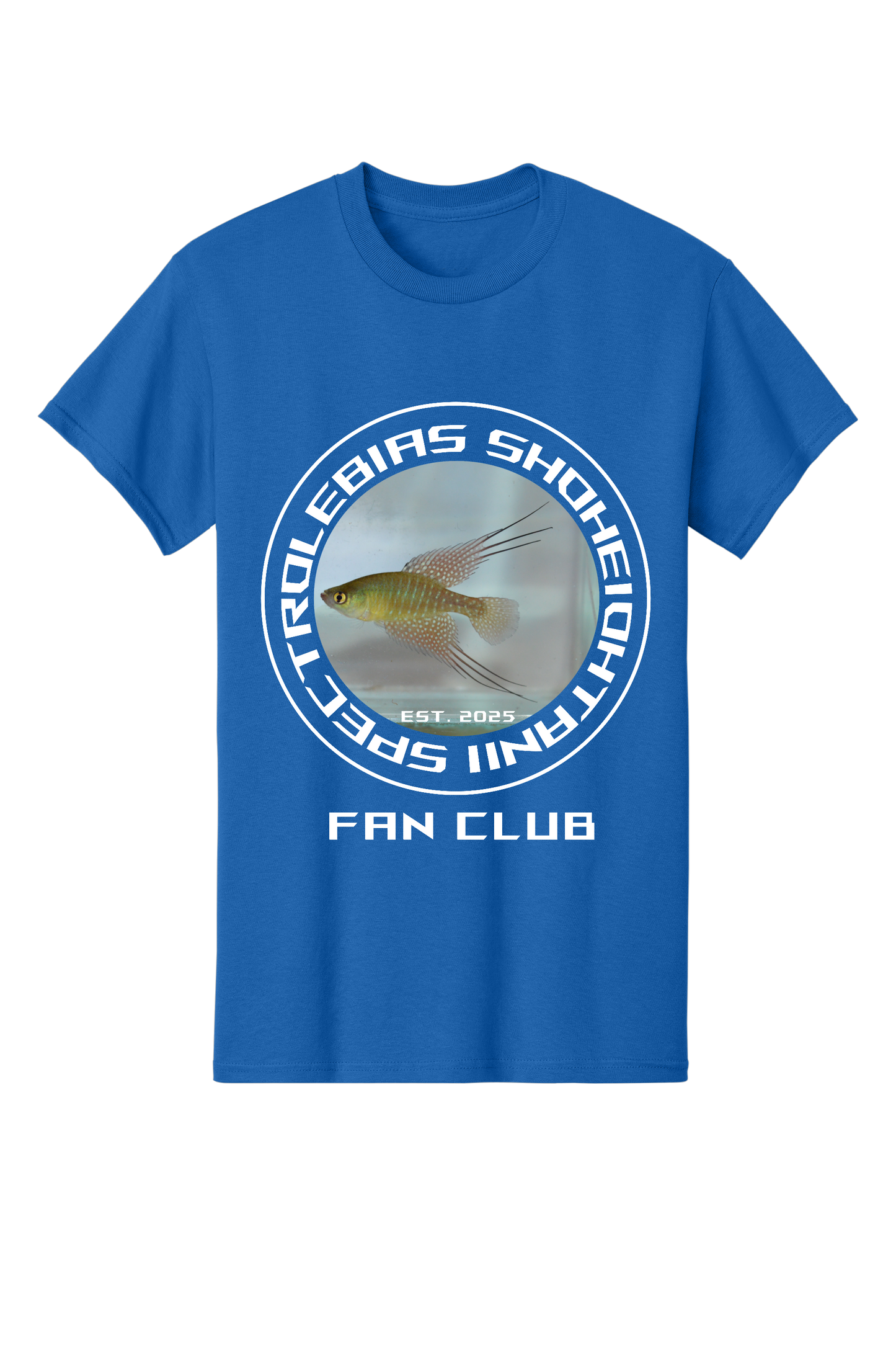 ファンクラブ #2 - 大人