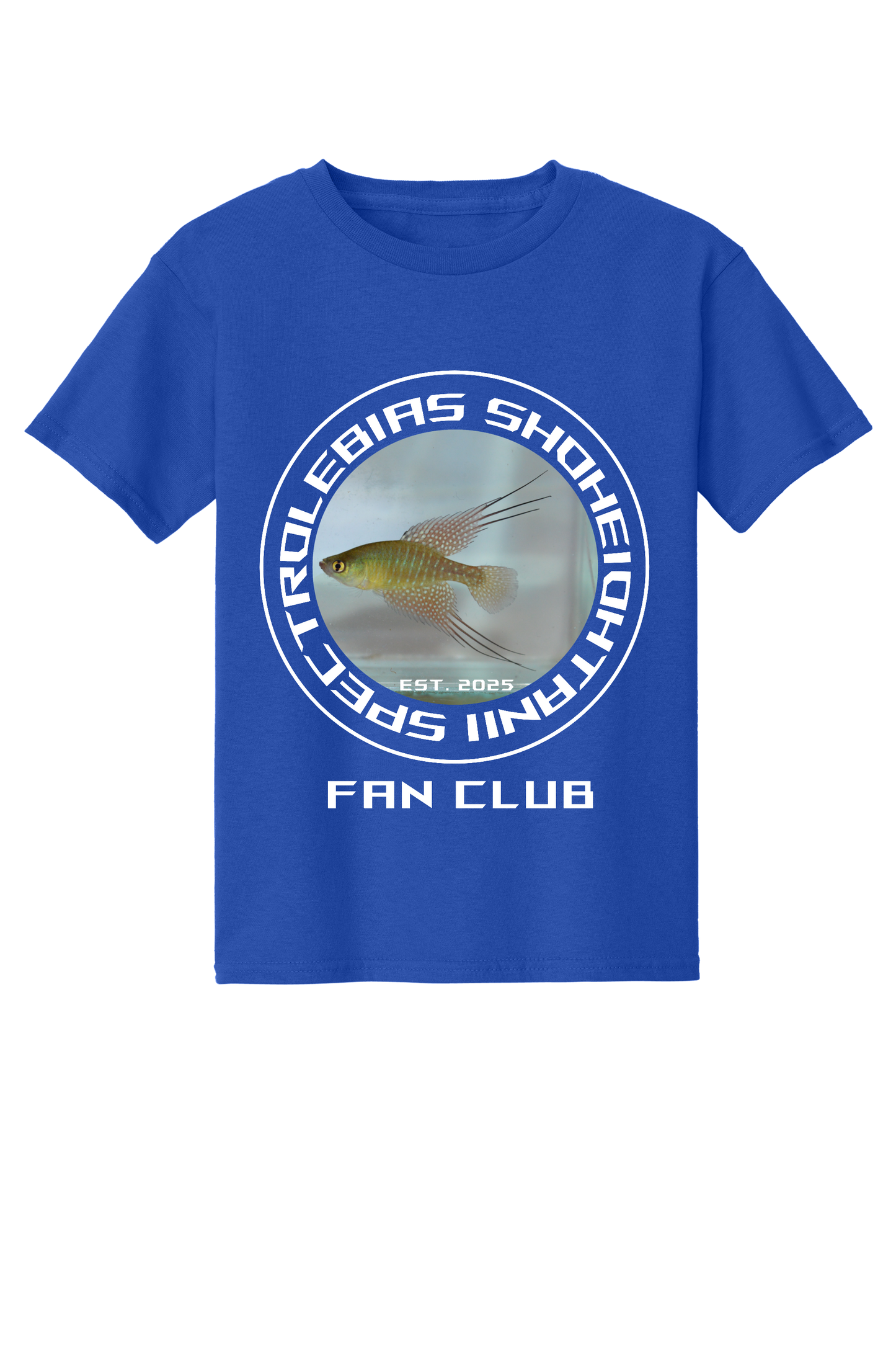 ファンクラブ #2 - 子供