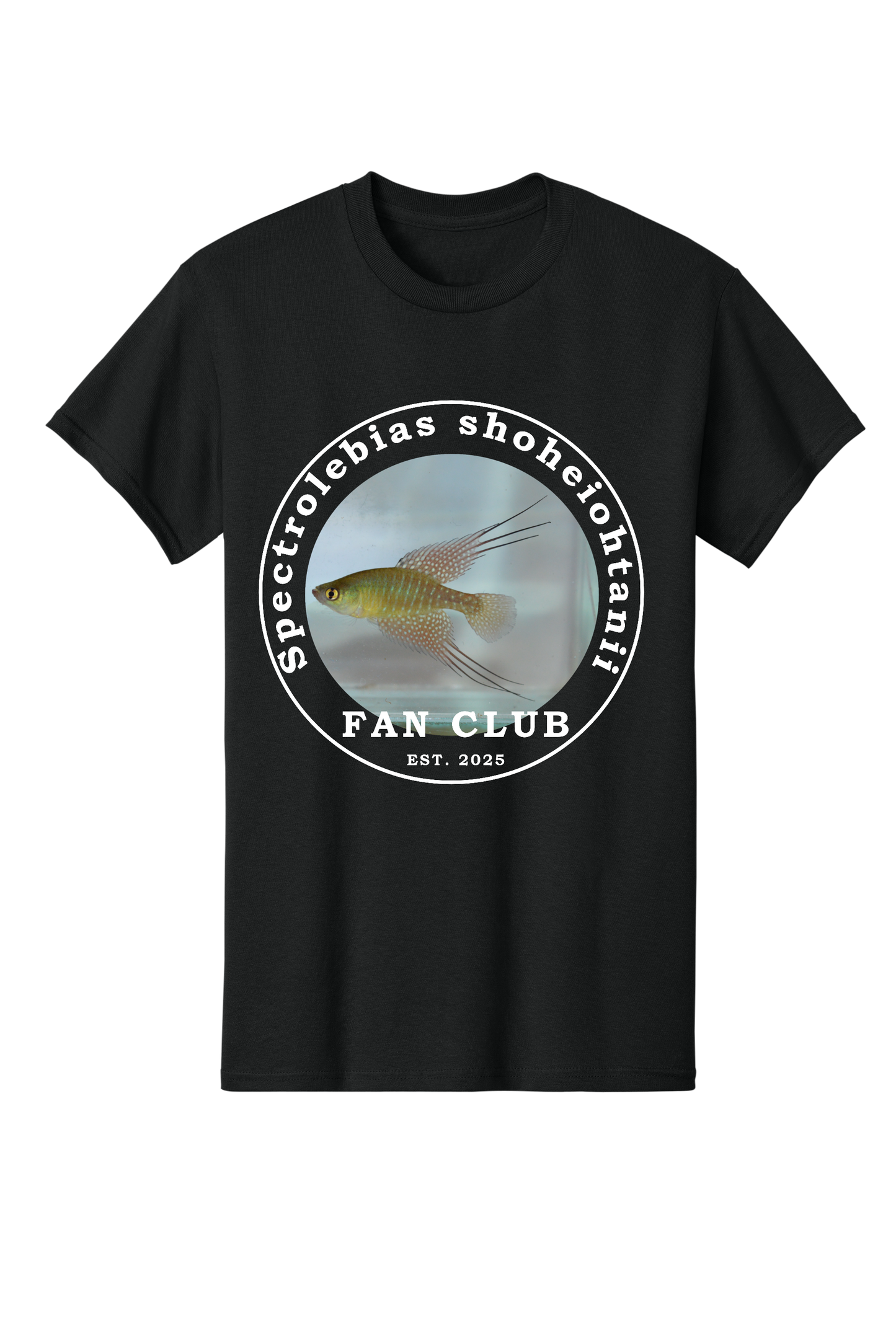 ファンクラブ #3 - 大人