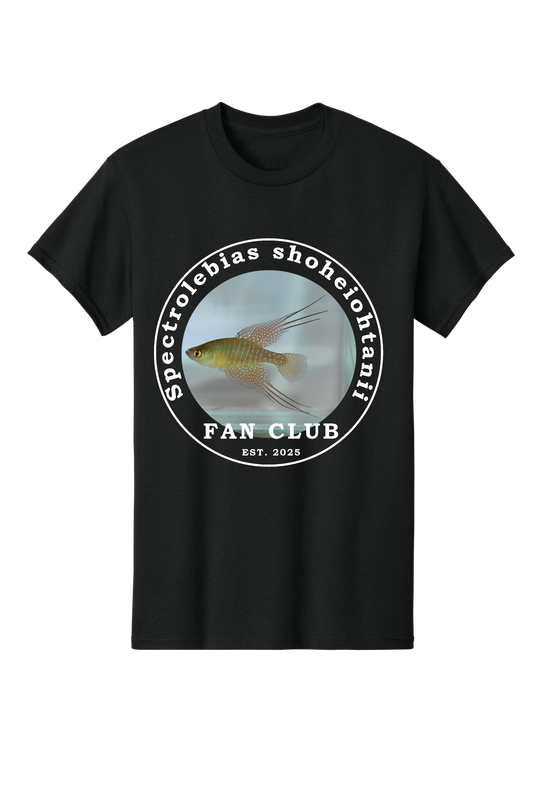 ファンクラブ #3 - 大人