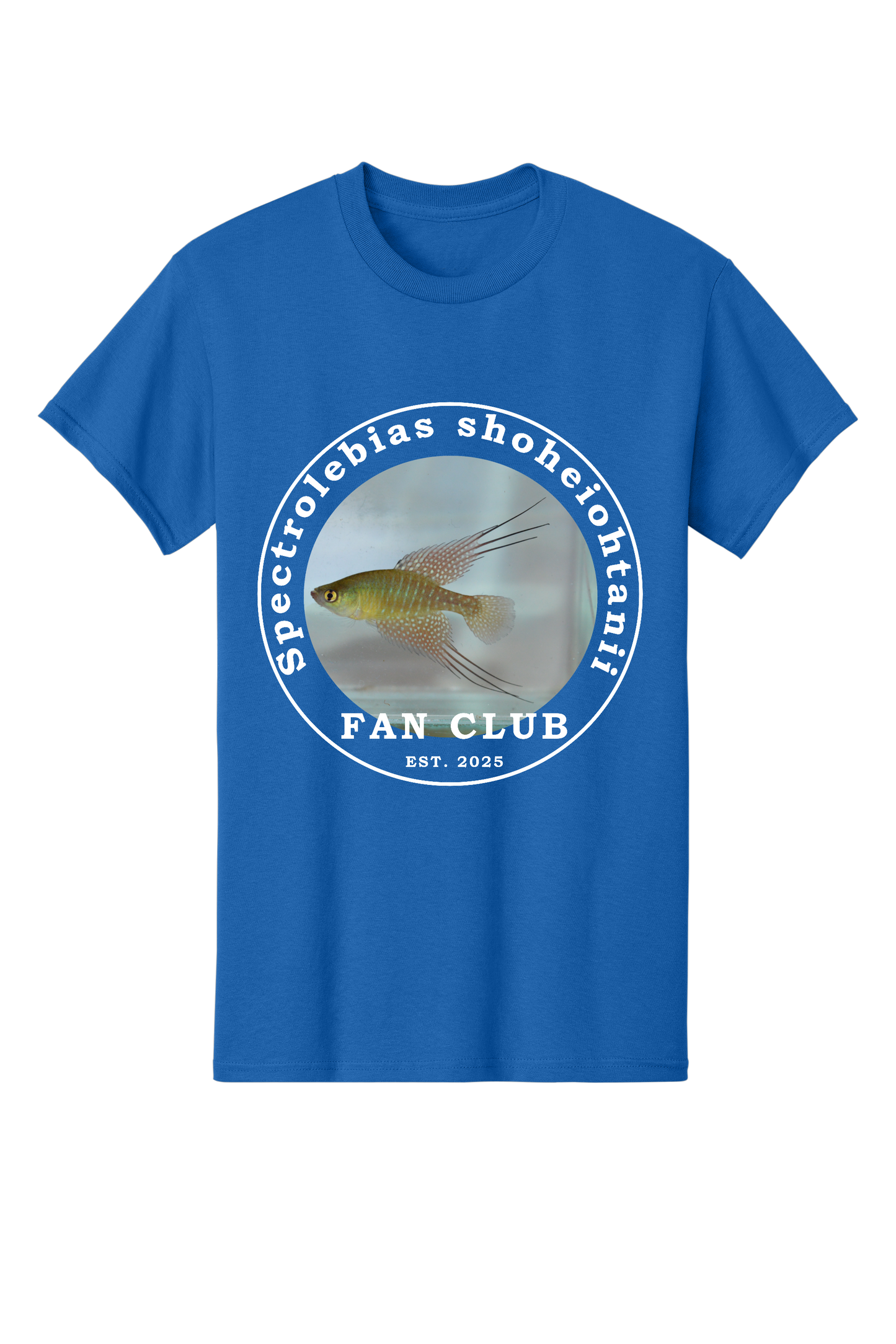 ファンクラブ #3 - 大人