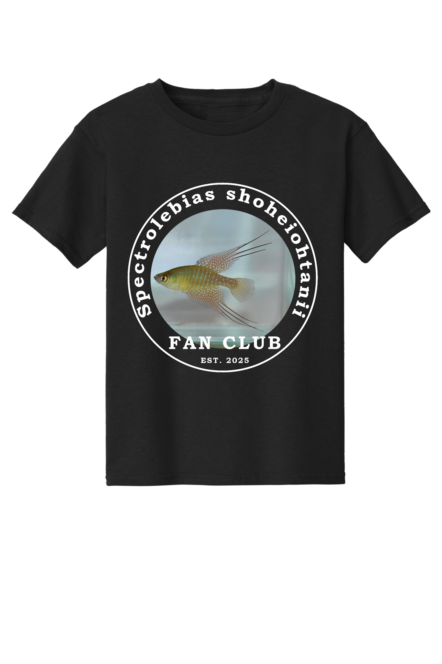 ファンクラブ #3 - 子供