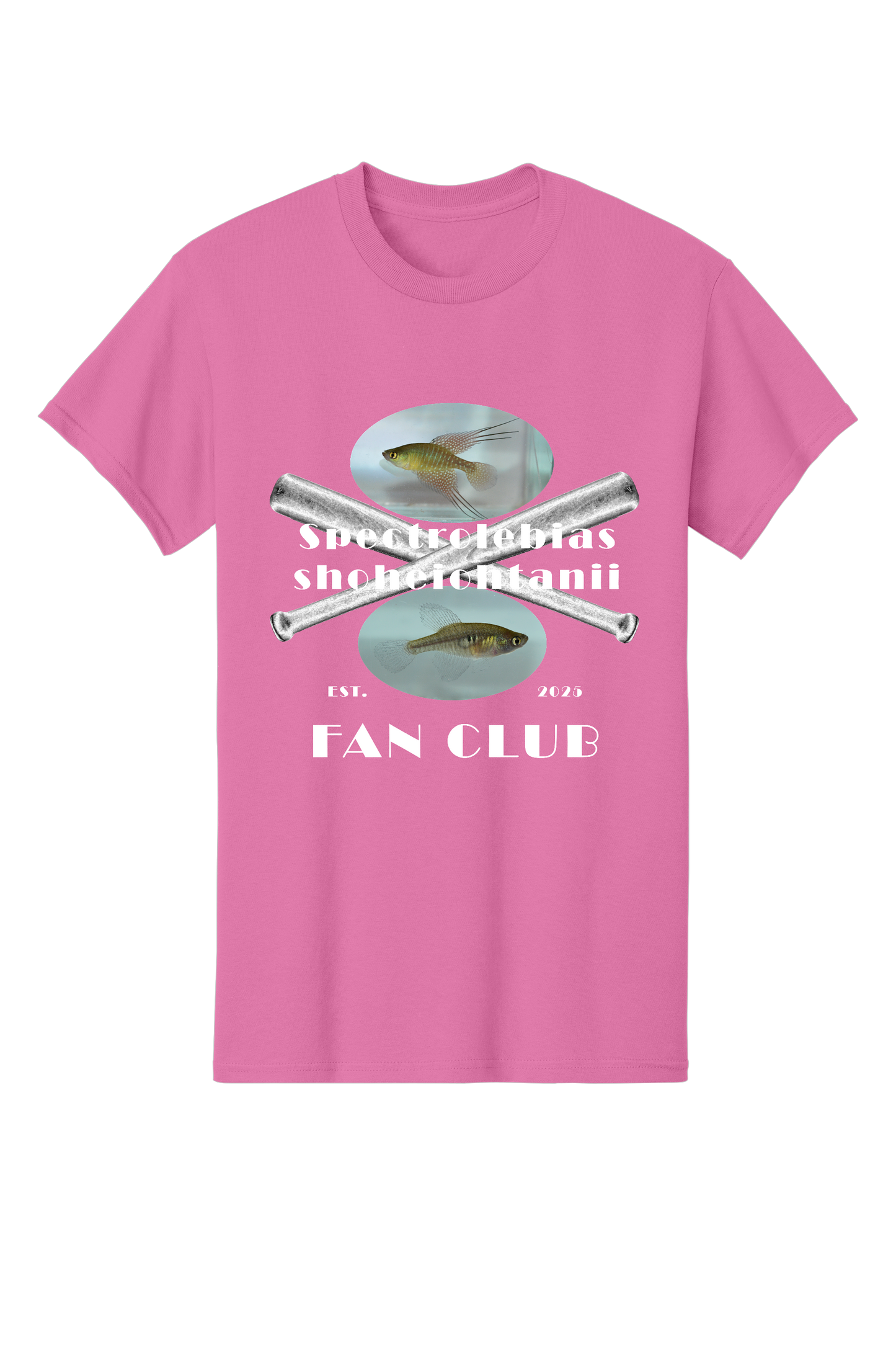 ファンクラブ #5 - 大人