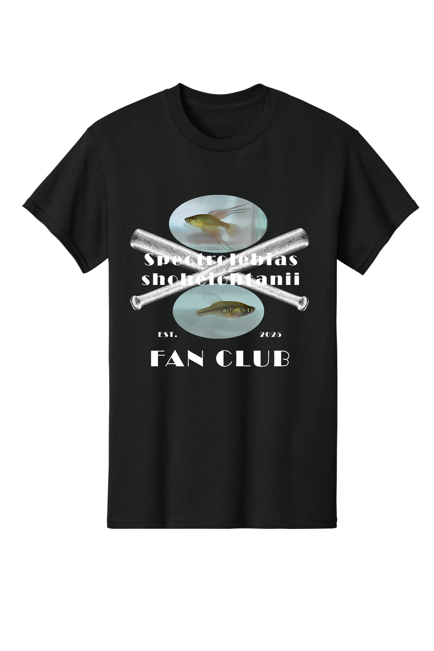 ファンクラブ #5 - 大人