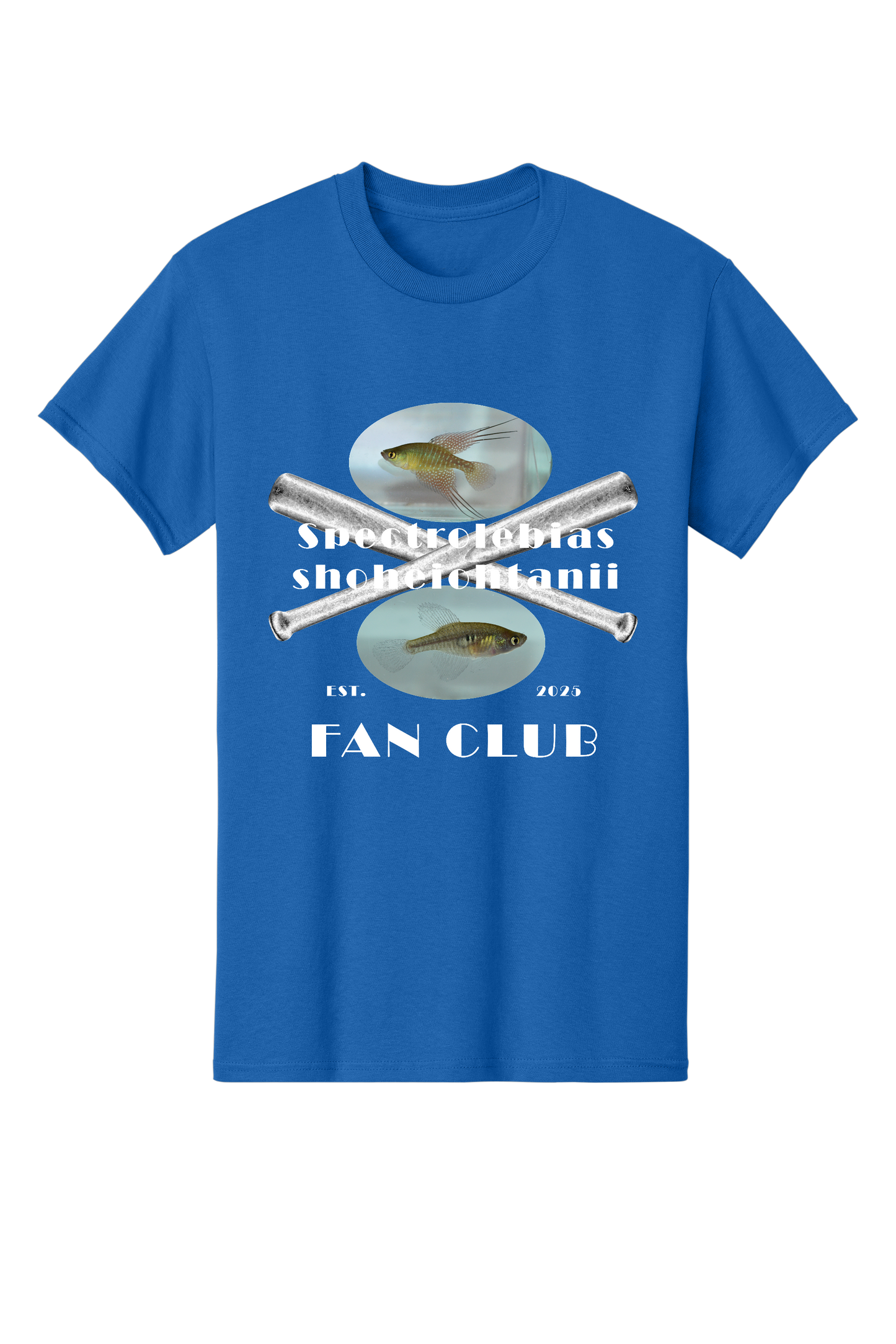 ファンクラブ #5 - 大人