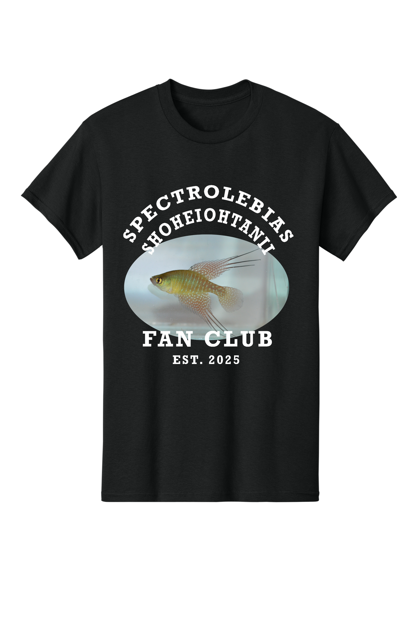 ファンクラブ #6 - 大人