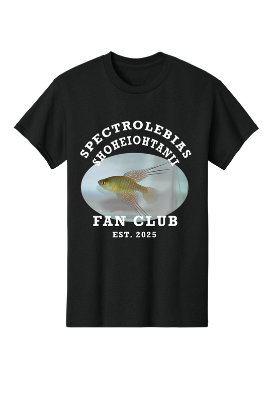 ファンクラブ #6 - 大人