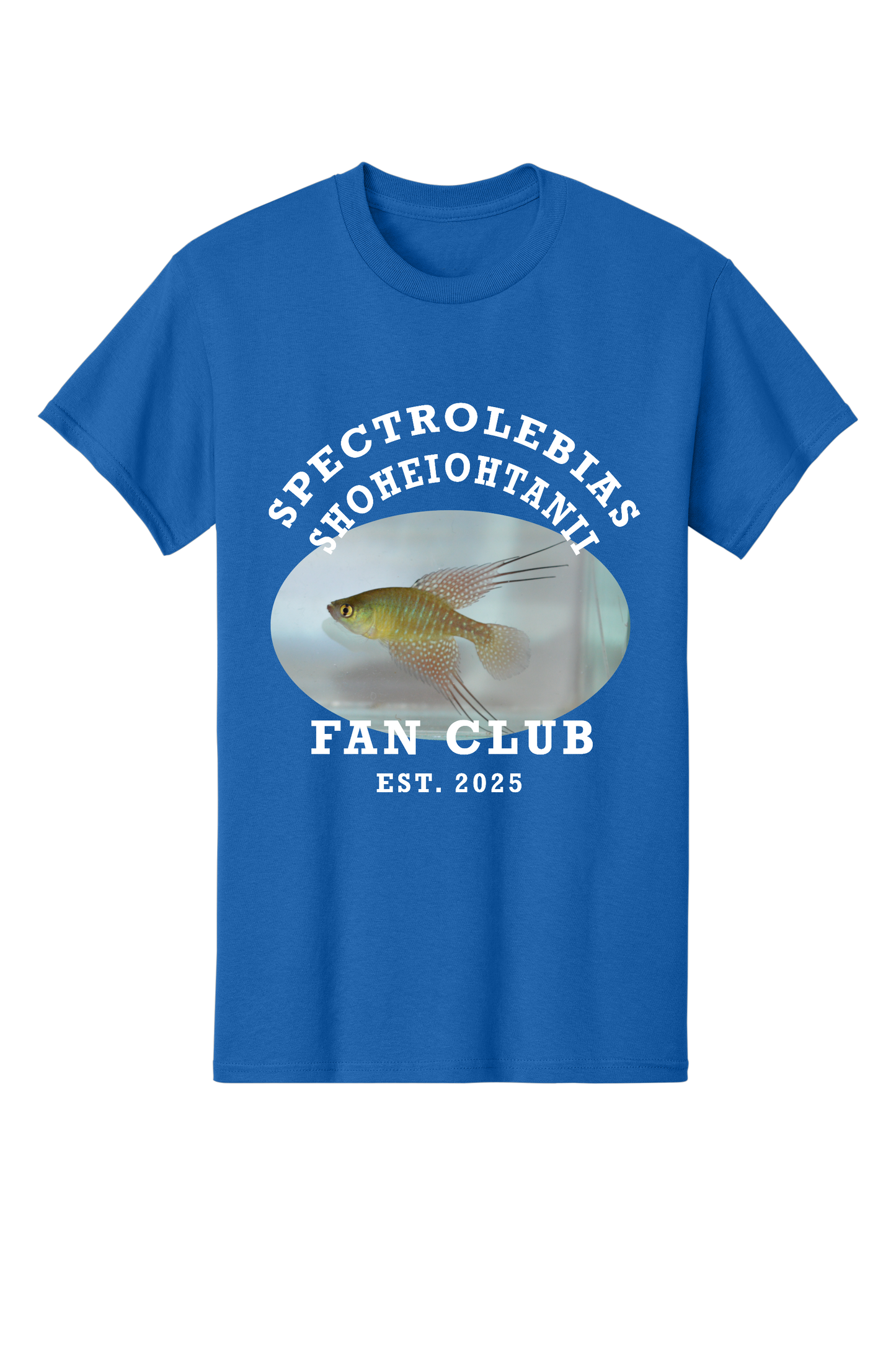 ファンクラブ #6 - 大人