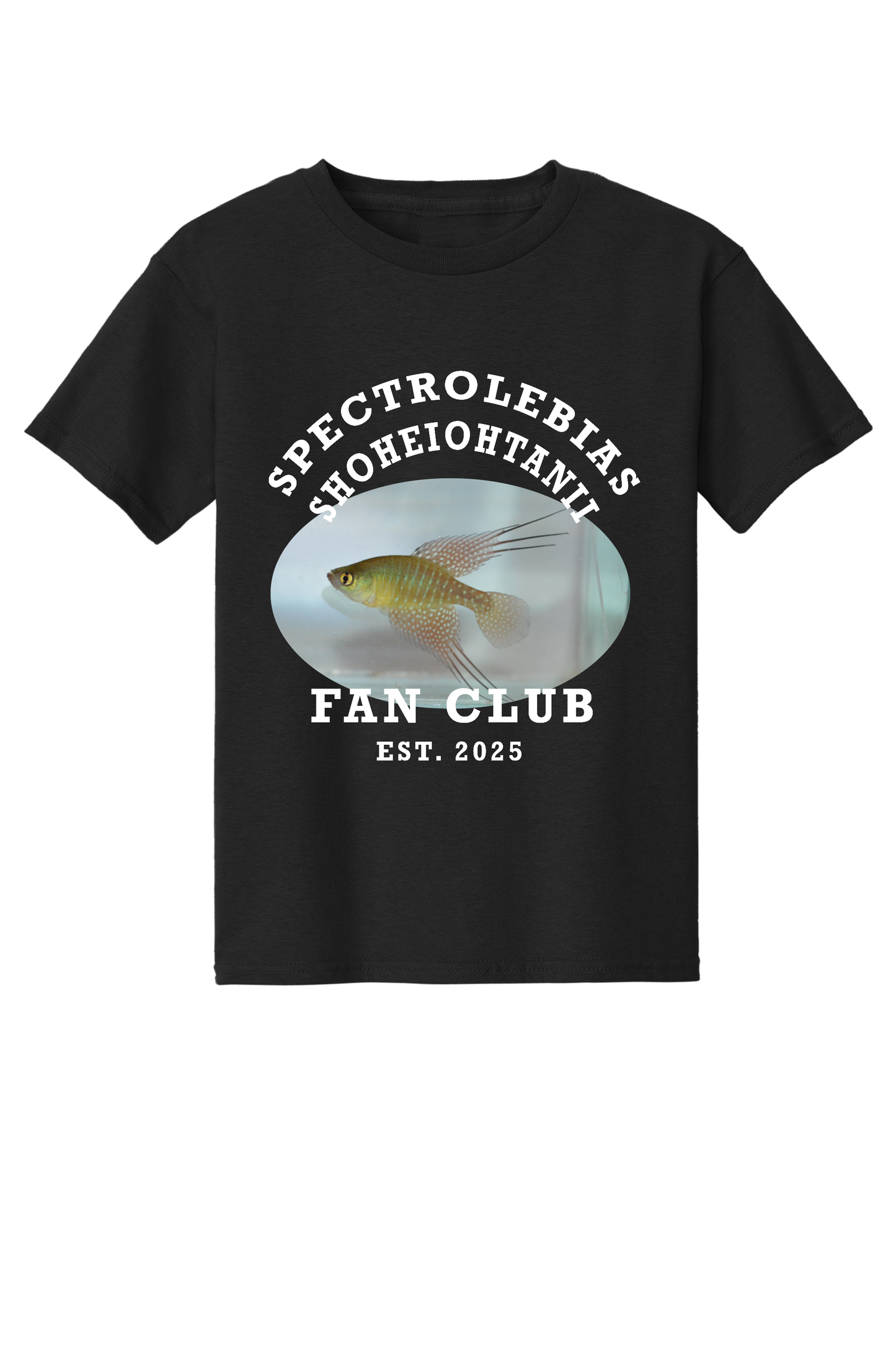 ファンクラブ #6 - 子供