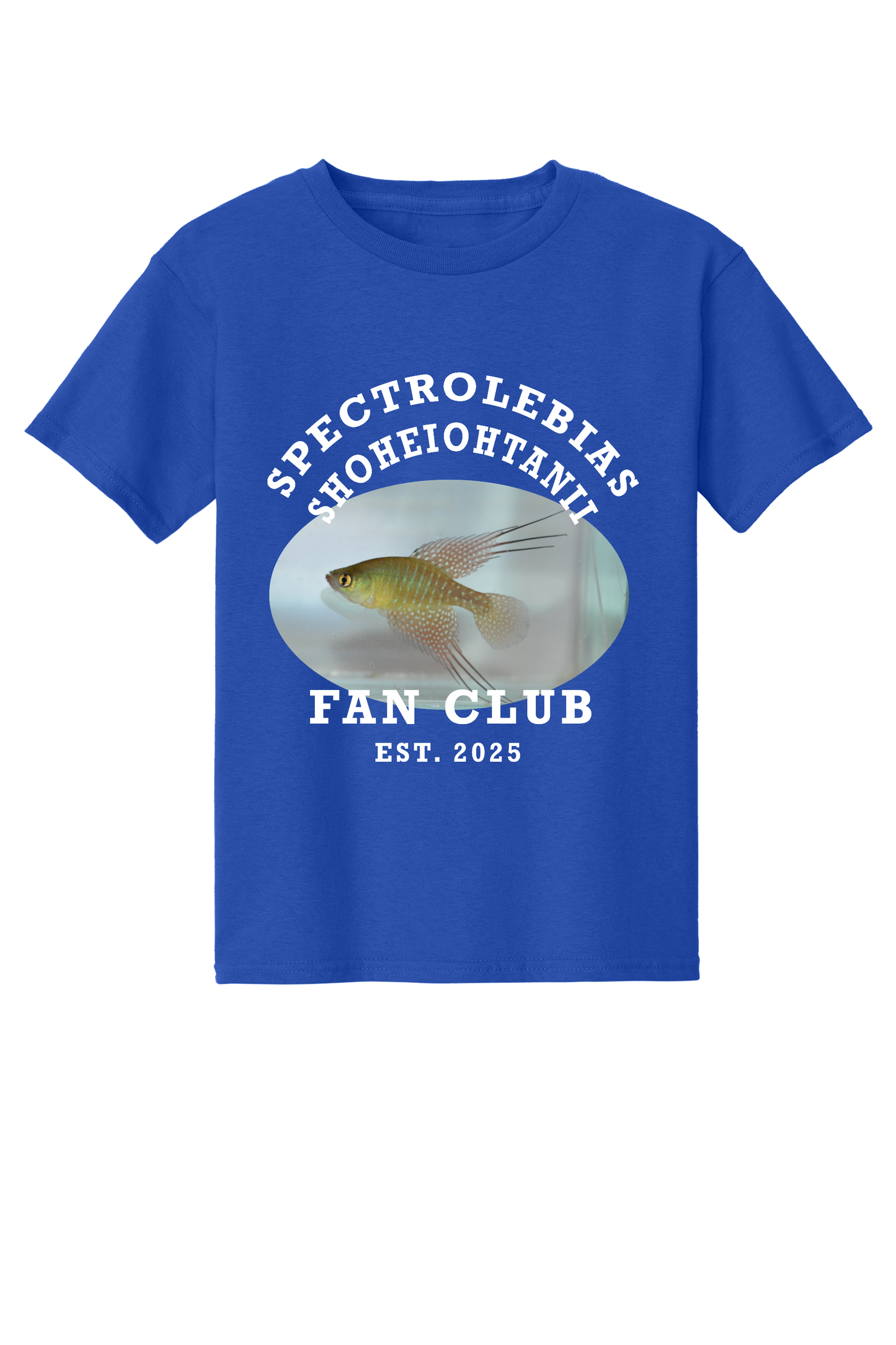 ファンクラブ #6 - 子供