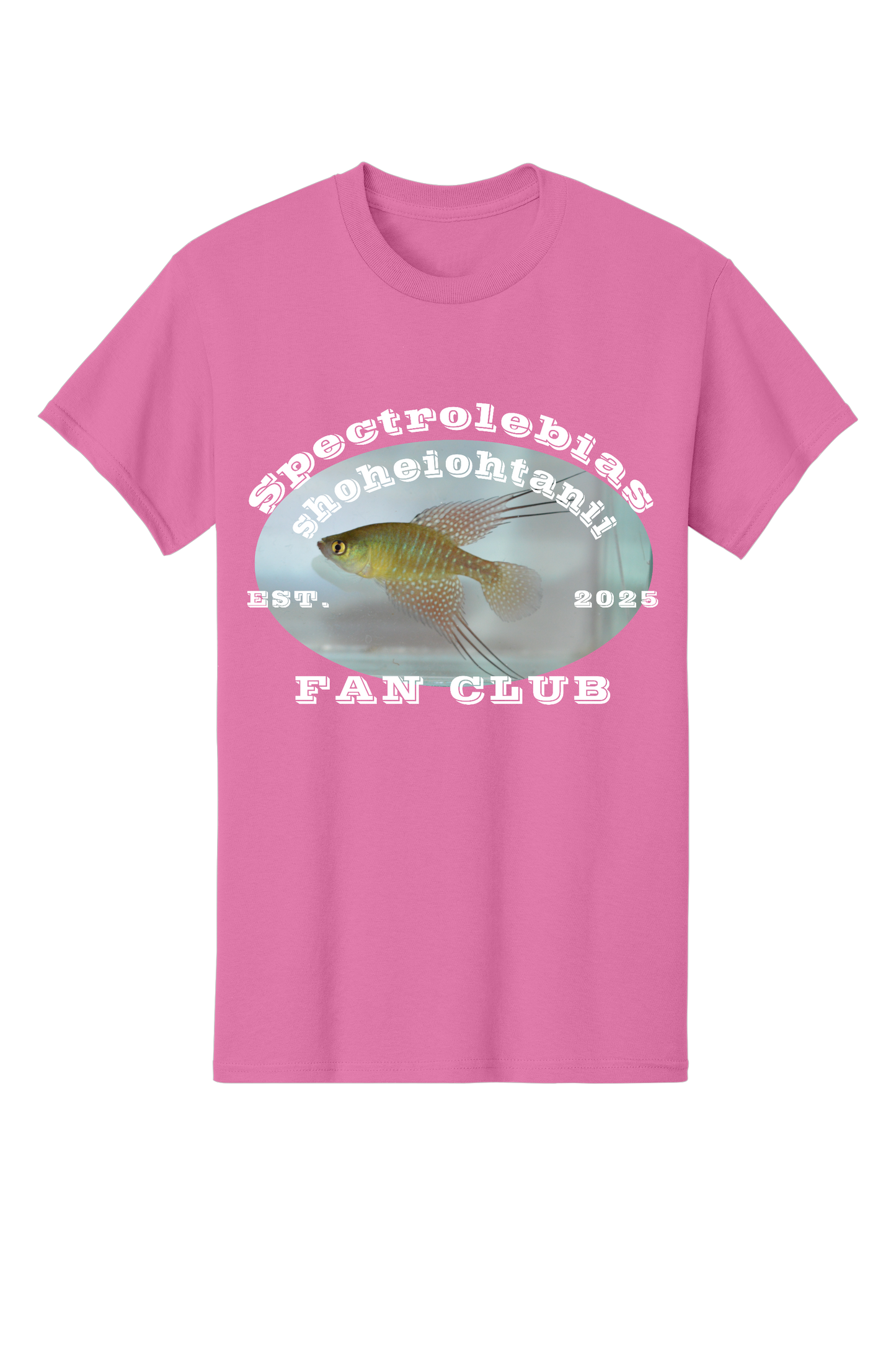 ファンクラブ #7 - 大人