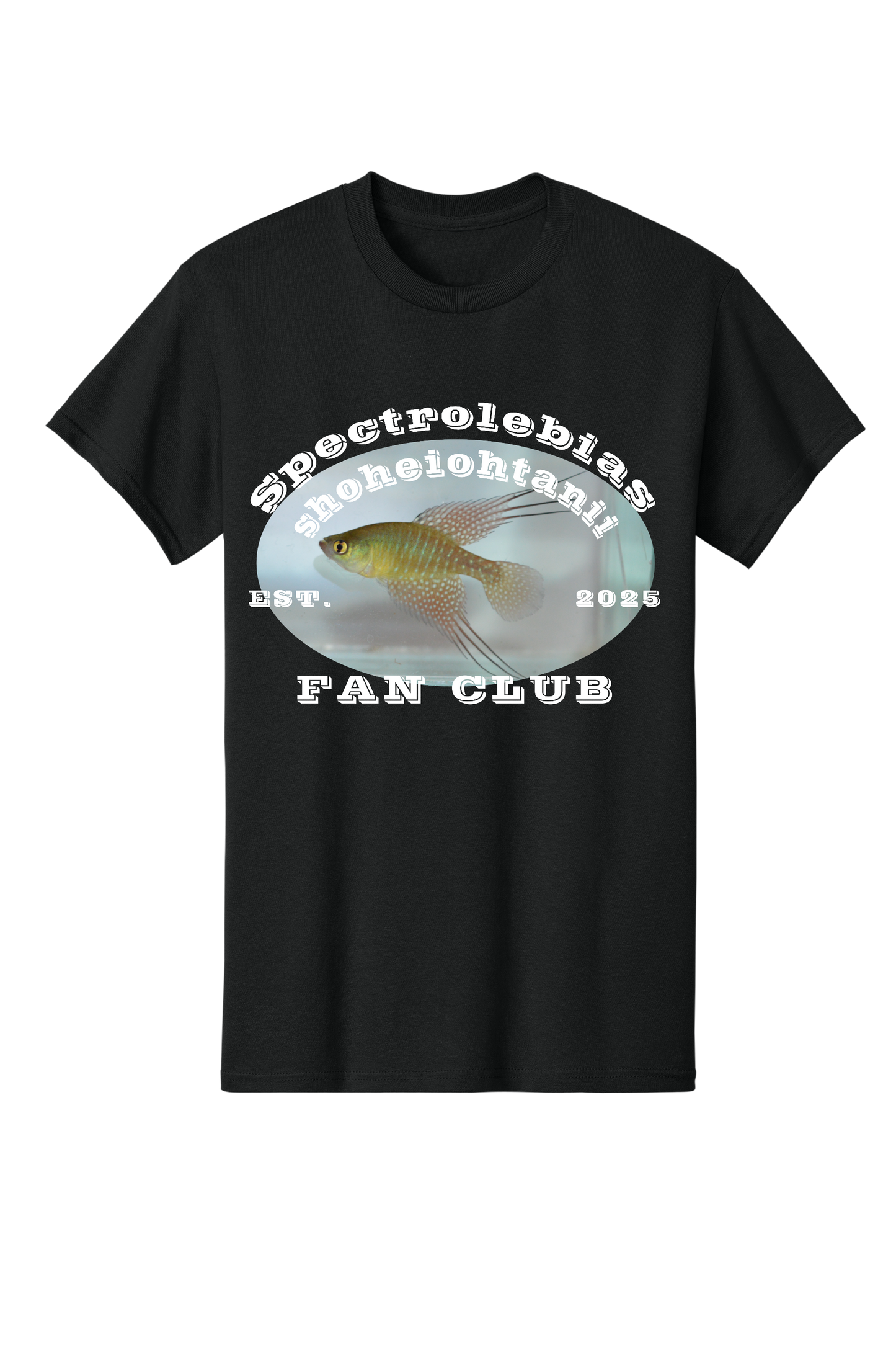 ファンクラブ #7 - 大人