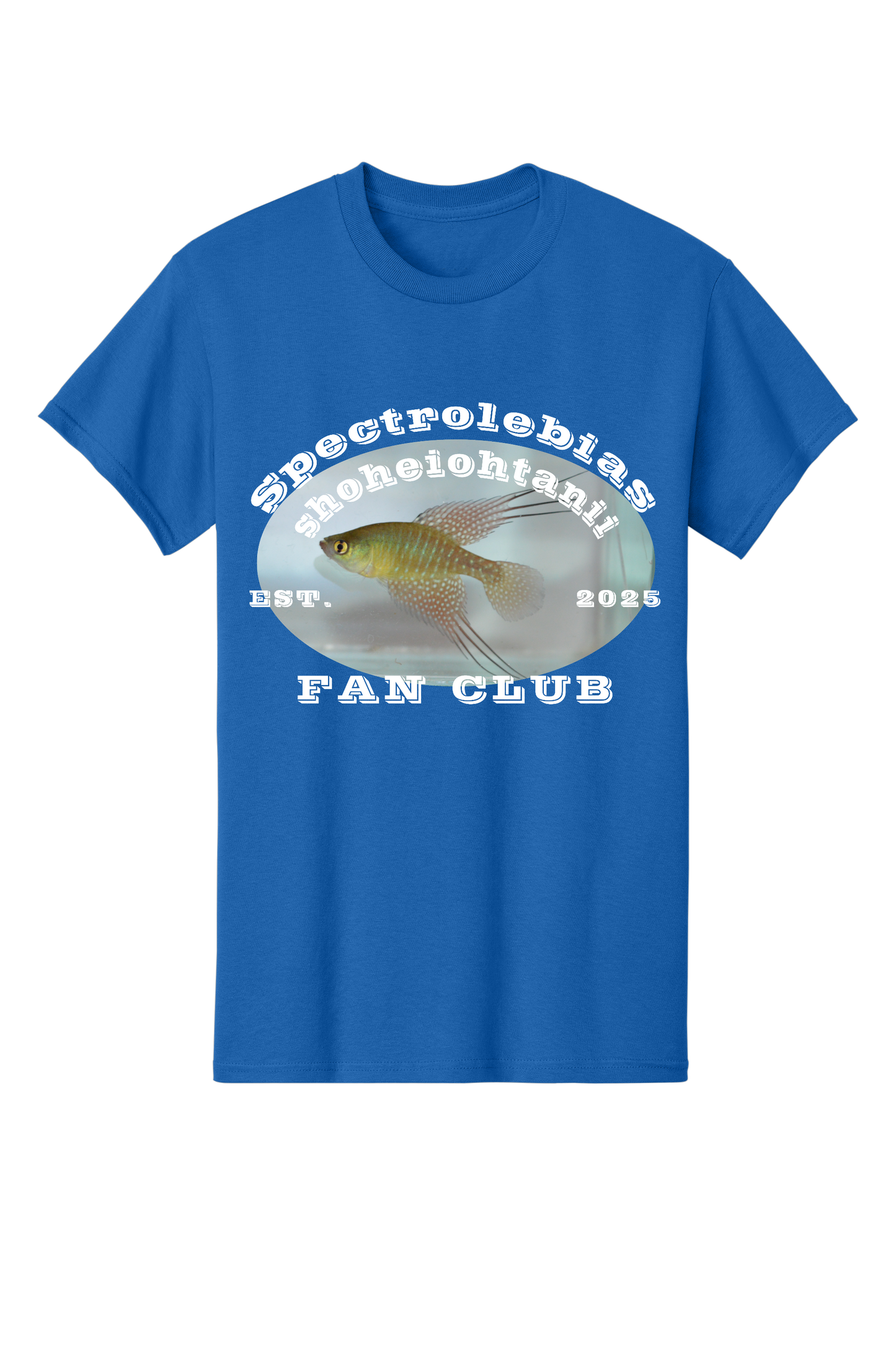 ファンクラブ #7 - 大人