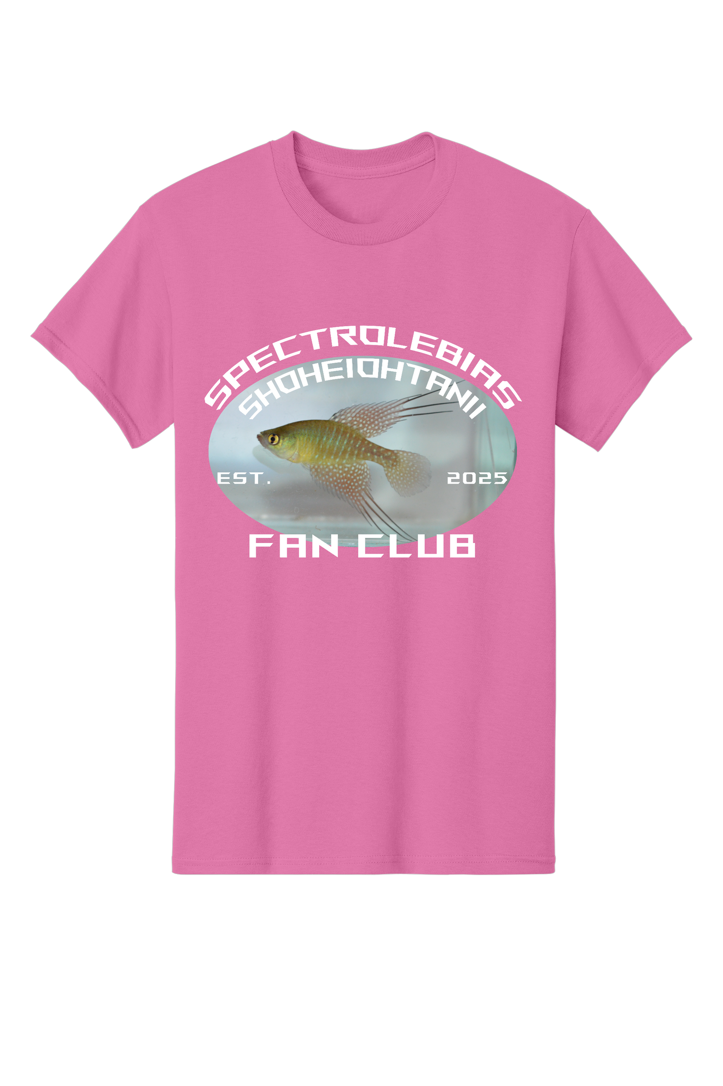 ファンクラブ #8 - 大人