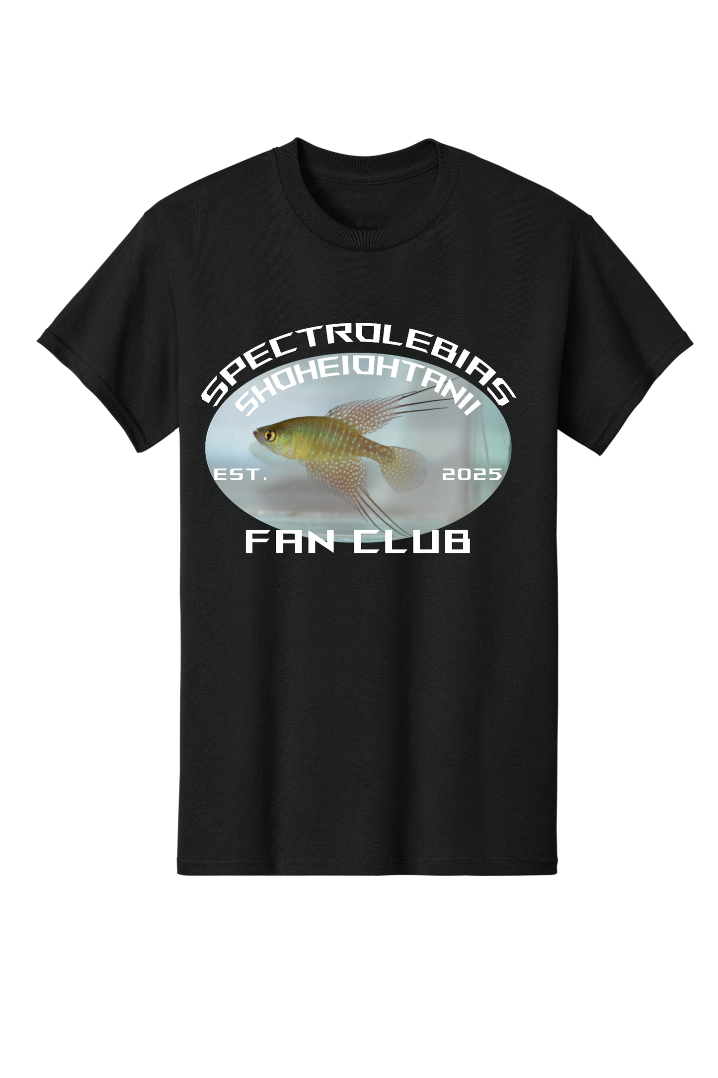 ファンクラブ #8 - 大人