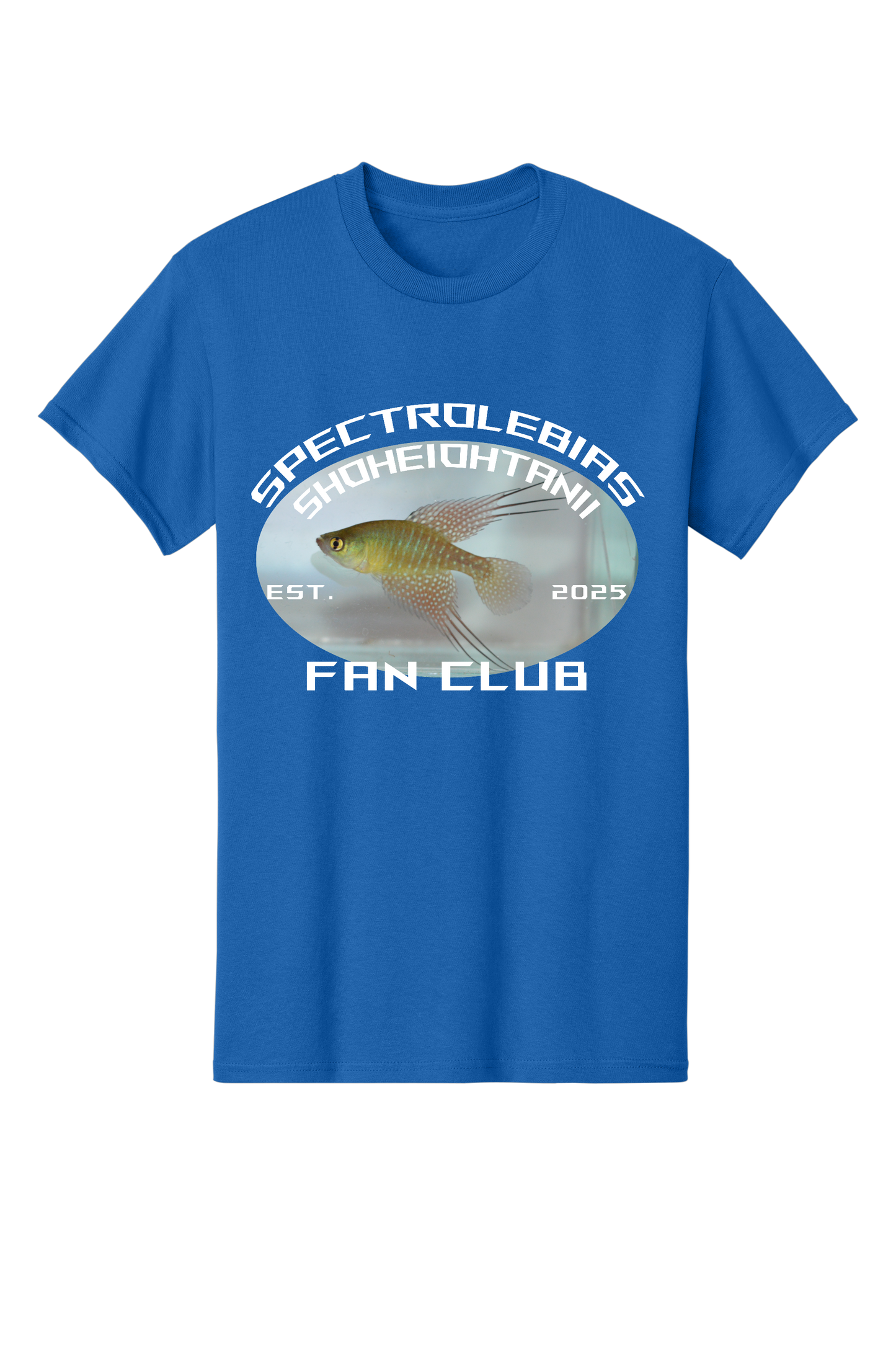 ファンクラブ #8 - 大人