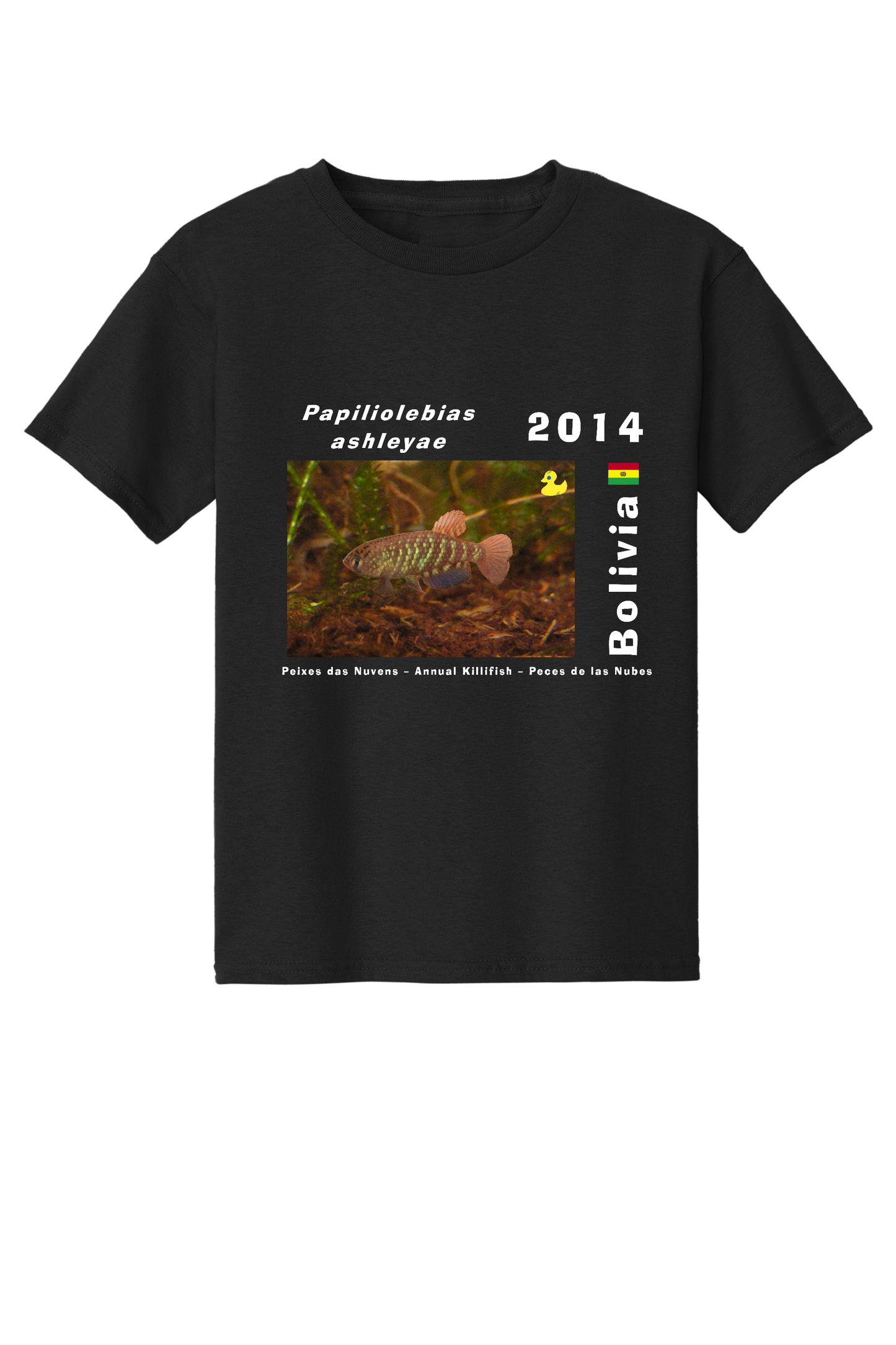Original 5 - Papiliolebias ashleyae - Child