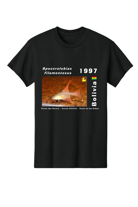 Original 3 - Spectrolebias filamentosus