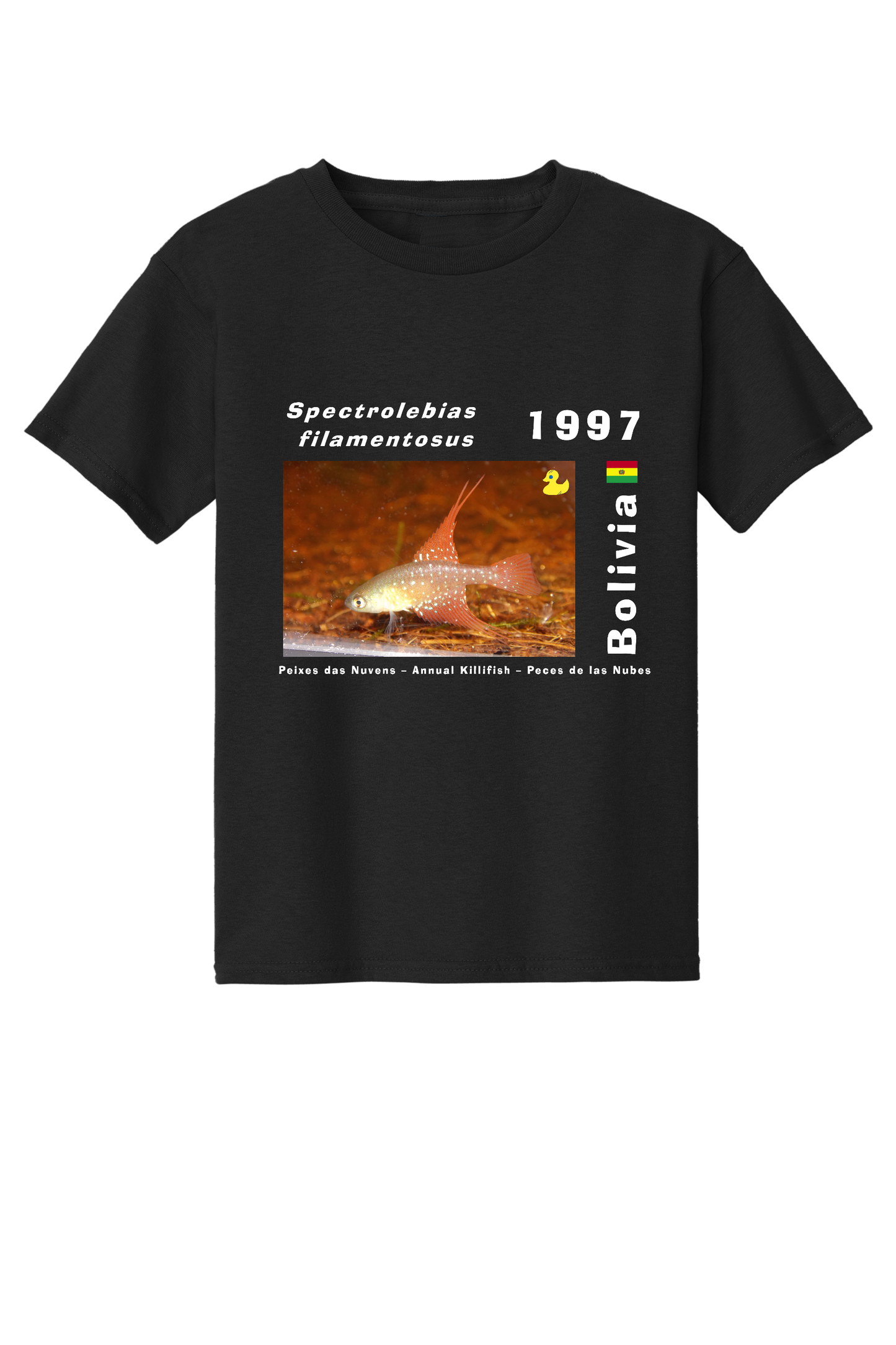 Original 3 - Spectrolebias filamentosus - Child