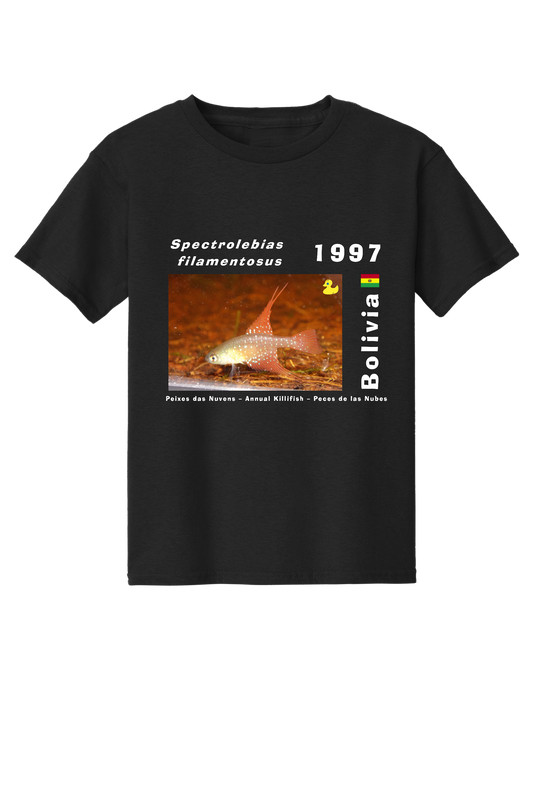 Original 3 - Spectrolebias filamentosus - Child