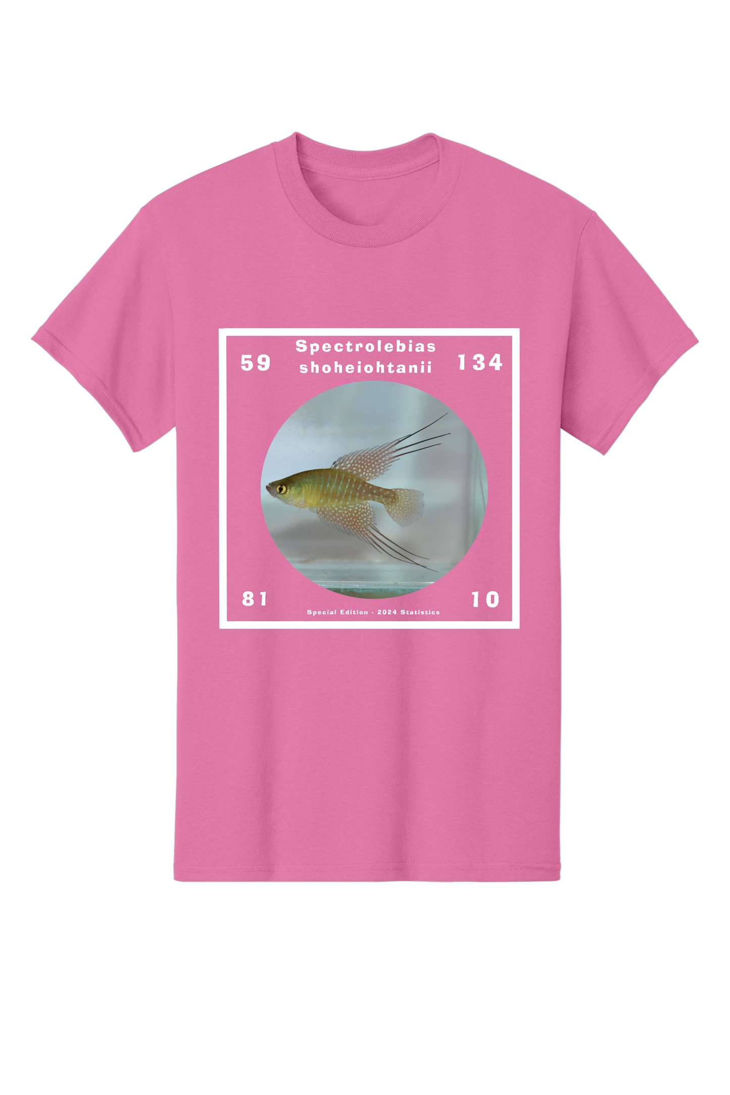 特別版#4（2024） - 大人向け