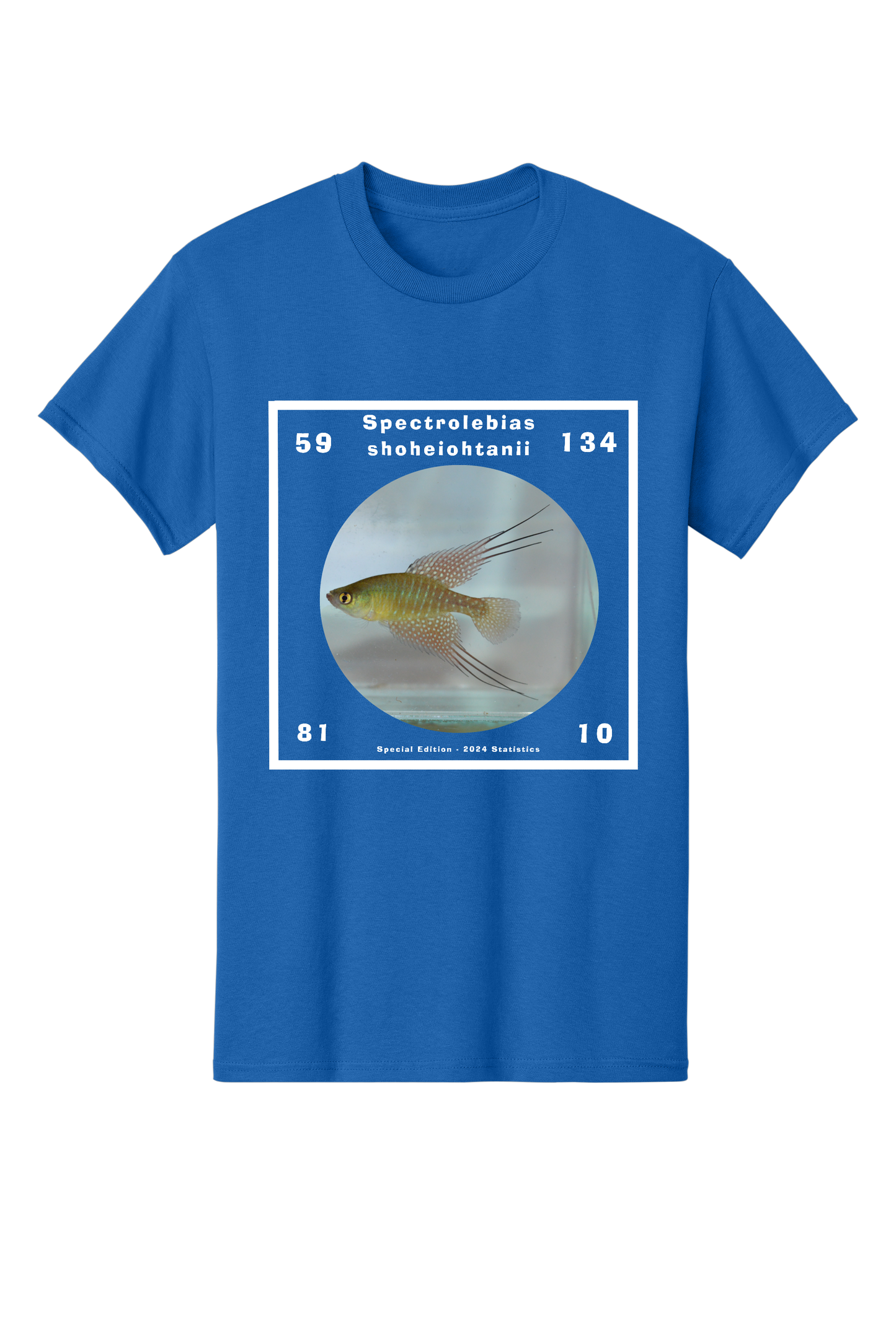 特別版#4（2024） - 大人向け